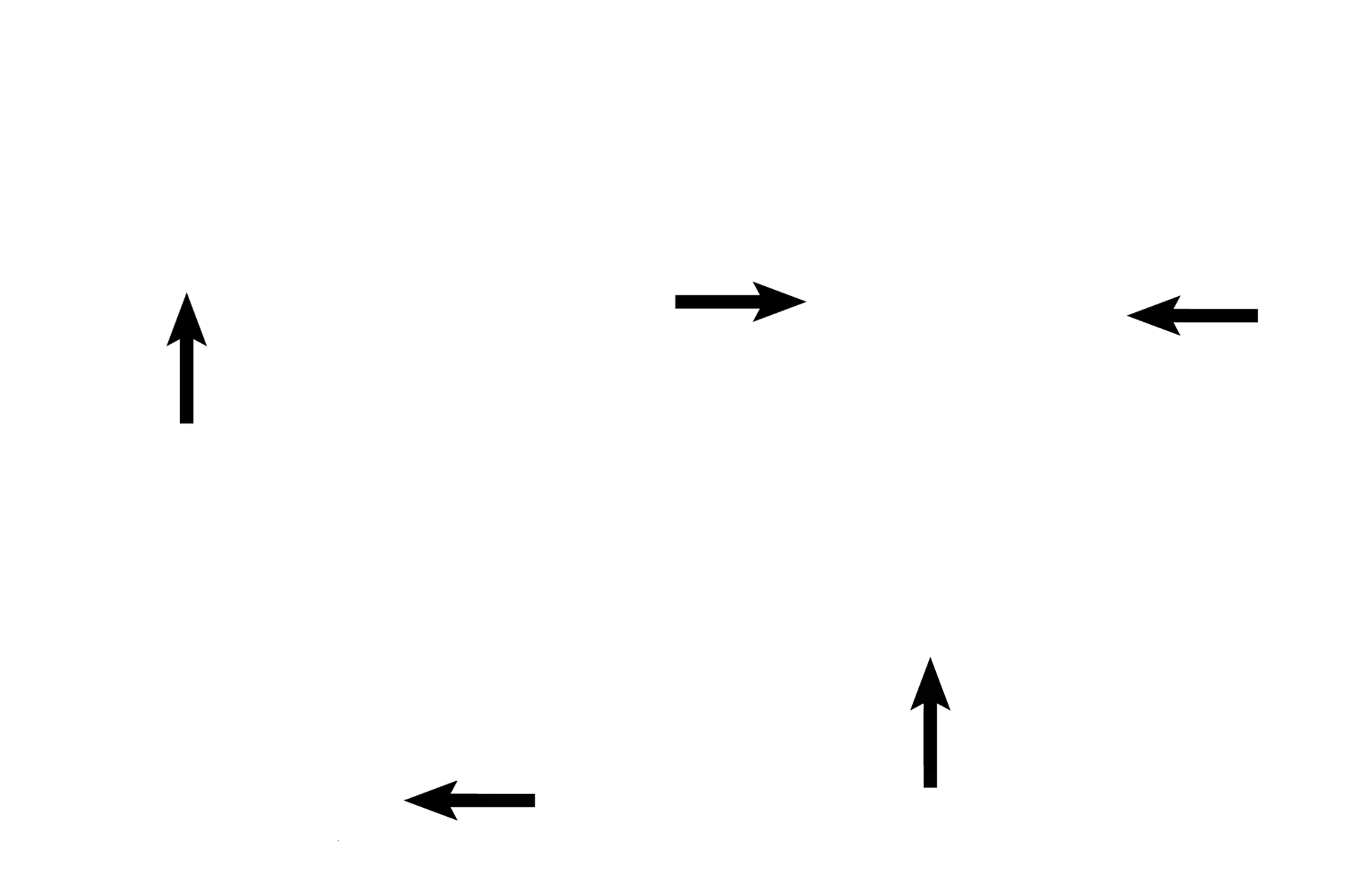  -- Luminal subdivisions <p>The single gland forming each seminal vesicle is highly convoluted, so a section through the gland reveals multiple profiles. The seminal vesicle is most easily identified by its central lumen that has been partitioned by the arcading of its mucosal folds. Smooth muscle surrounds the seminal vesicle. 40x</p>
