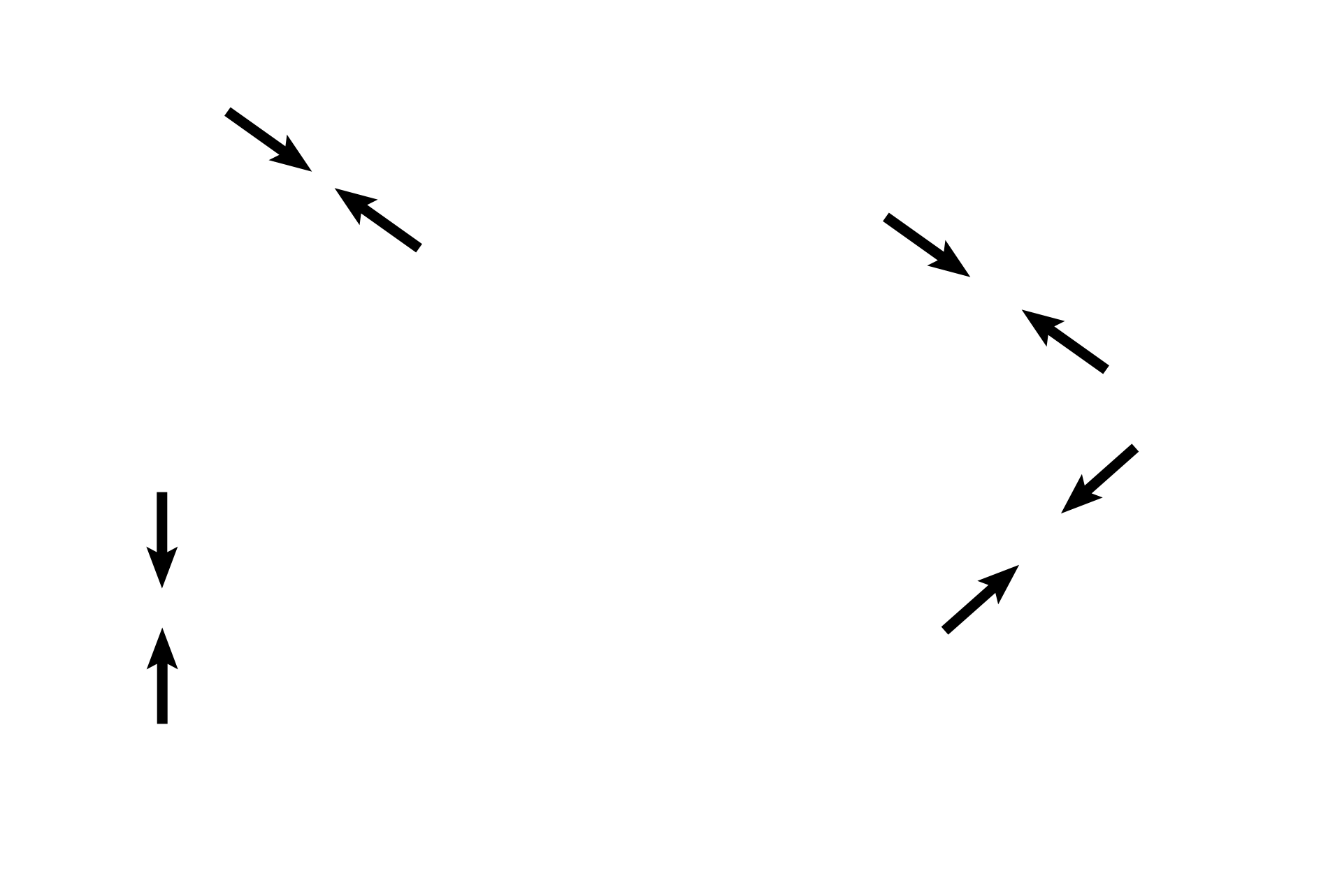 Pseudostratified epithelium <p>These two images of the seminal vesicle show the spaces formed by the arching of the epithelium and its underlying lamina propria. Pseudostratified epithelium in nonsecretory stages (left) is lower than that seen during active secretion (right). Smooth muscle surrounds the periphery of the gland. 200x, 400x </p>
