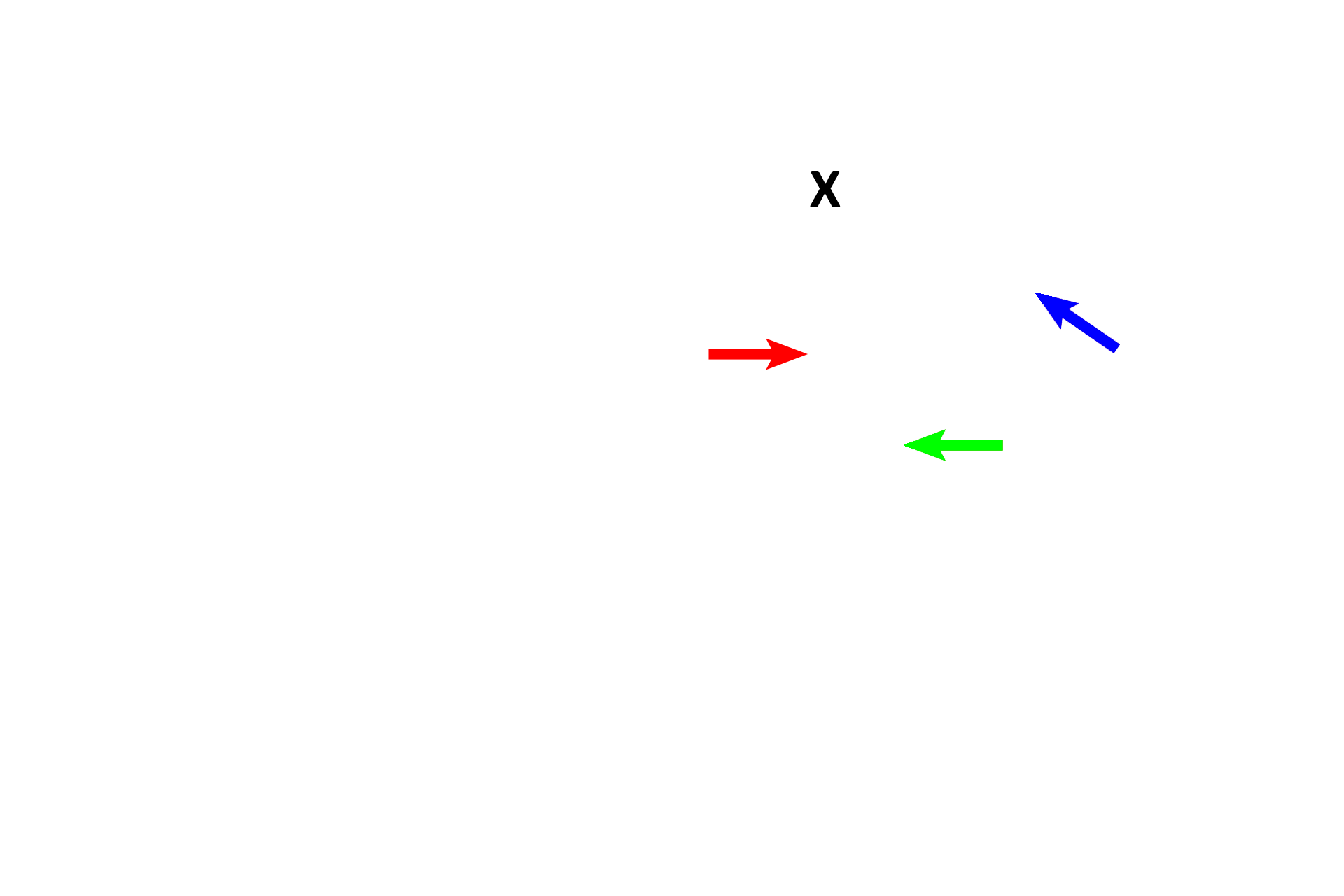 Genital glands > <p>Three major glands contribute to seminal fluid.  Paired seminal vesicles (blue arrow), lie posterior to the urinary bladder (X); the duct of each joins the ampulla of the ductus deferens, to form an ejaculatory duct.  The prostate (red arrow), a large single gland inferior to the urinary bladder, secretes into the prostatic urethra.  Paired bulbourethral glands (green arrow) secrete into the beginning of the penile urethra.</p>
