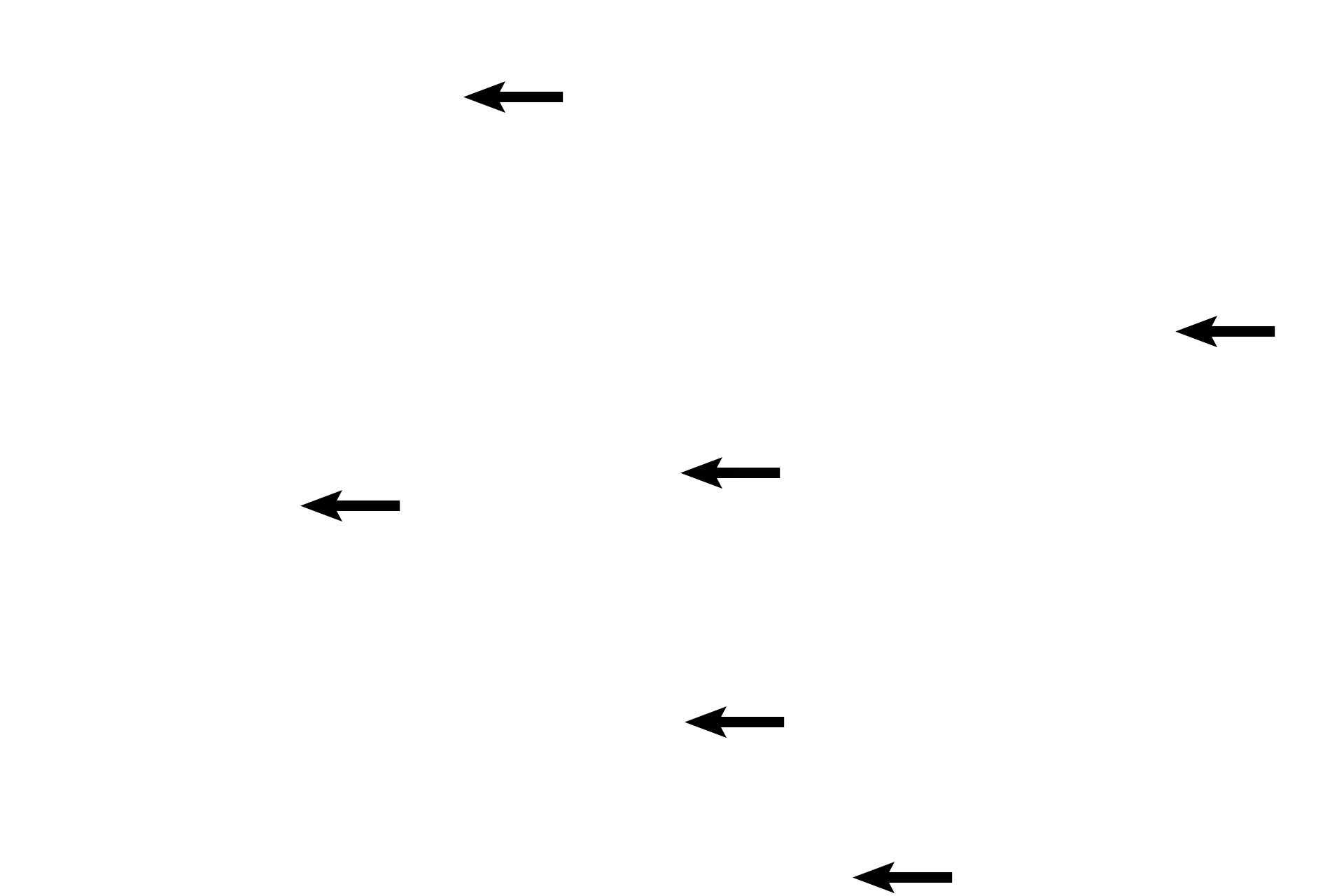  - Glands of Littre <p>The urethra in the penis is primarily lined by pseudostratified or stratified columnar epithelia.  The epithelium changes to a stratified squamous in the fossa navicularis near the junction of the urethra with skin. Evaginations from the urethral epithelium continue as the mucus-secreting glands of Littre. 40x</p>
