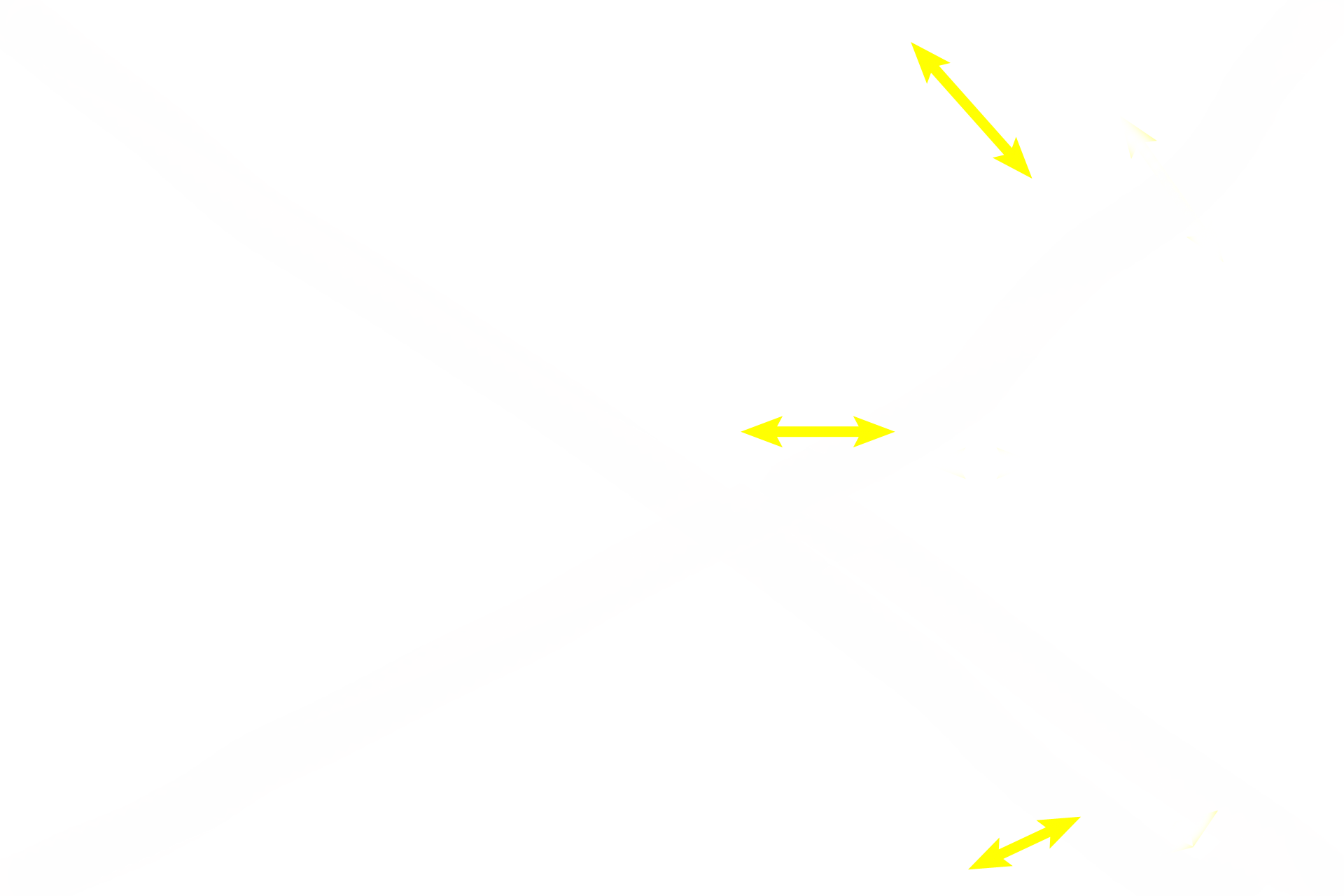 Inner longitudinal muscle <p>A higher magnification of the ductus deferens shows the pseudostratified epithelium, lamina propria and the thick muscular tunics. A muscularis mucosae and a submucosa are lacking in the ductus deferens. 200x</p>
