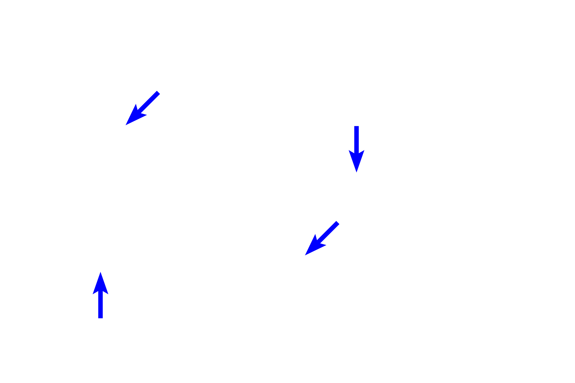 Cells > <p>A wide variety of cells are present in connective tissue proper. Fibroblasts produce extracellular matrix (ground substance and fibers). Macrophages phagocytose foreign matter. Plasma cells and mast cells, along with several other cell types, provide immunologic defense. Other cells, such as adipocytes (not illustrated), store fat.</p>
