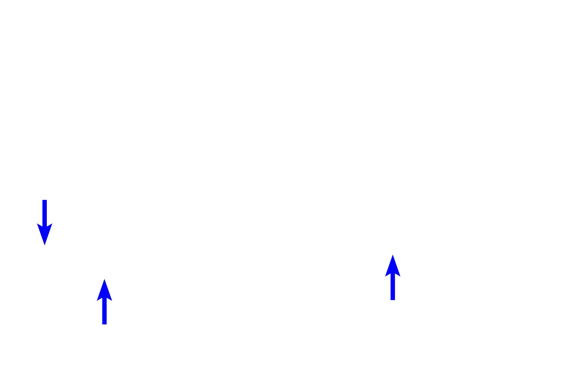  - Reticular fibers <p>Three fiber types are present in connective tissue proper: collagen fibers providing tensile strength; elastic fibers allowing stretch; and reticular fibers providing light support.</p>
