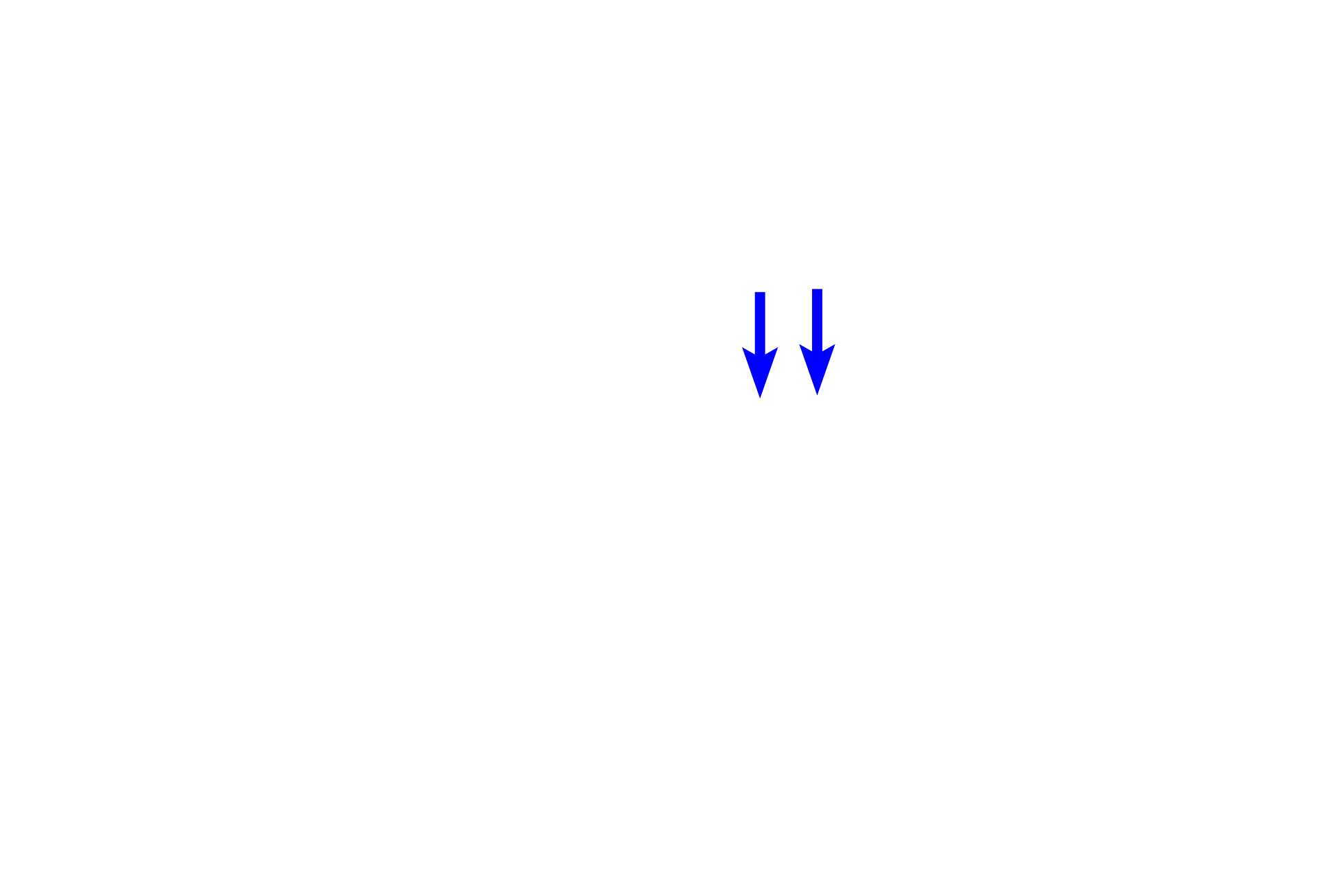  - Macrophage <p>A wide variety of cells are present in connective tissue proper. Fibroblasts produce extracellular matrix (ground substance and fibers). Macrophages phagocytose foreign matter. Plasma cells and mast cells along with several other cell types, provide immunologic defense. Other cells, such as adipocytes (not illustrated), store fat.</p>
