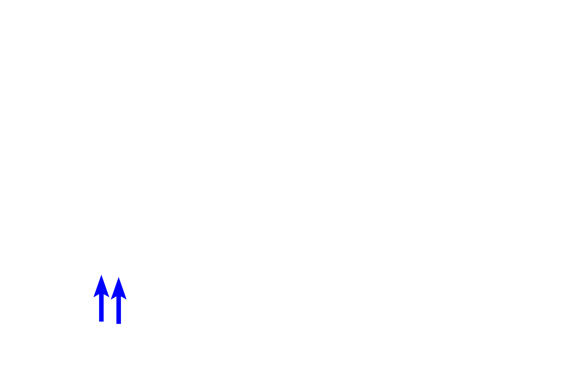  - Plasma cell  <p>A wide variety of cells are present in connective tissue proper. Fibroblasts produce extracellular matrix (ground substance and fibers). Macrophages phagocytose foreign matter. Plasma cells and mast cells along with several other cell types, provide immunologic defense. Other cells, such as adipocytes (not illustrated), store fat.</p>
