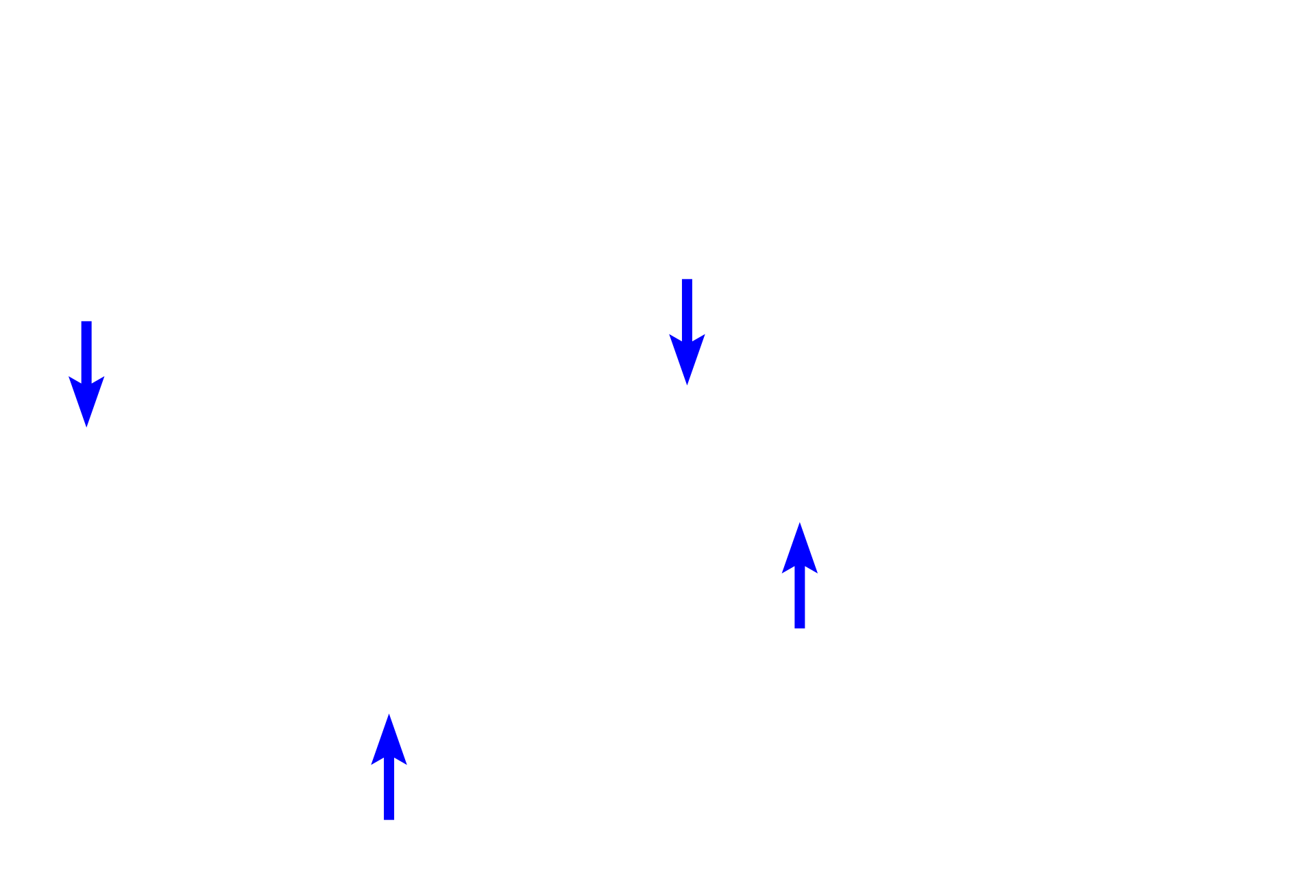  - Collagen fibers > <p>Three fiber types are present in connective tissue proper: collagen fibers providing tensile strength; elastic fibers allowing stretch; and reticular fibers providing light support.</p>
