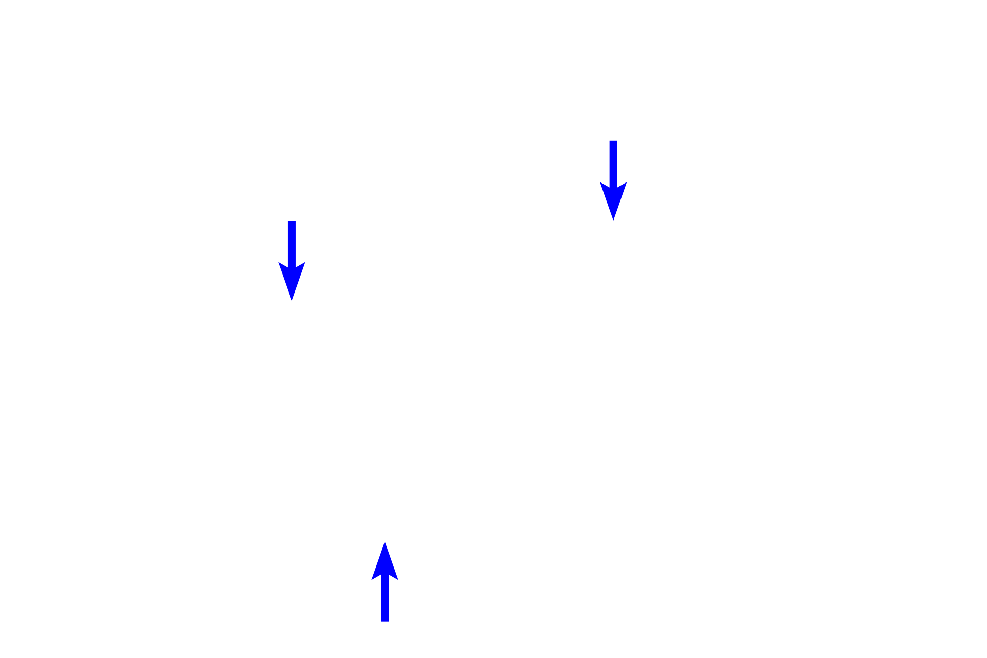  - Elastic fibers <p>Three fiber types are present in connective tissue proper: collagen fibers providing tensile strength; elastic fibers allowing stretch; and reticular fibers providing light support.</p>
