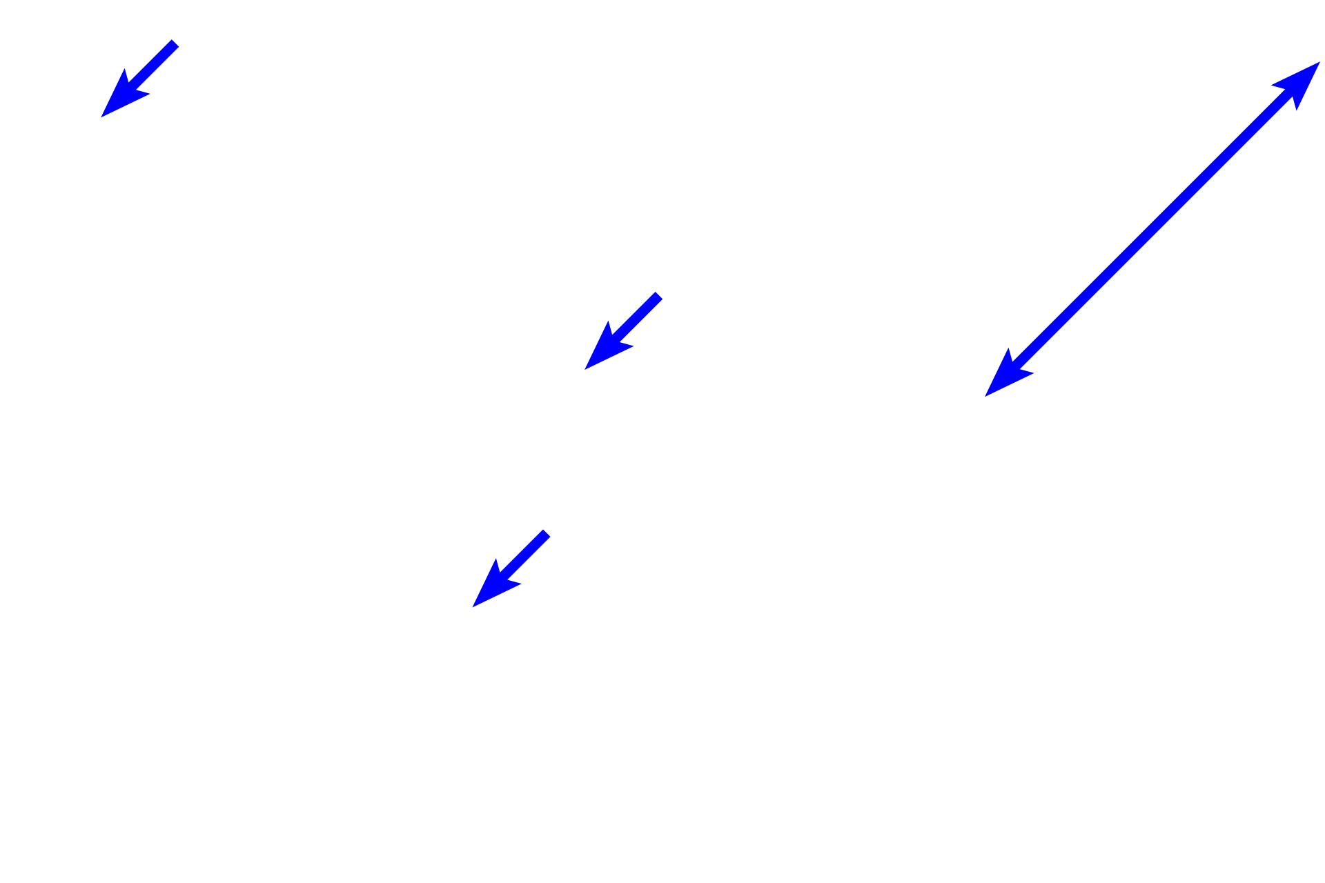 Collagen fibers <p>Adipocytes, or fat cells, are non-motile resident cells filled with stored lipid. This centrally located lipid compresses the remaining cytoplasm to a thin, outer rim. Each heterochromatic nucleus is visible as a crescent on one side of the cell. These adipocytes, as well as adjacent glands, are surrounded by a loose connective tissue. 300x</p>

