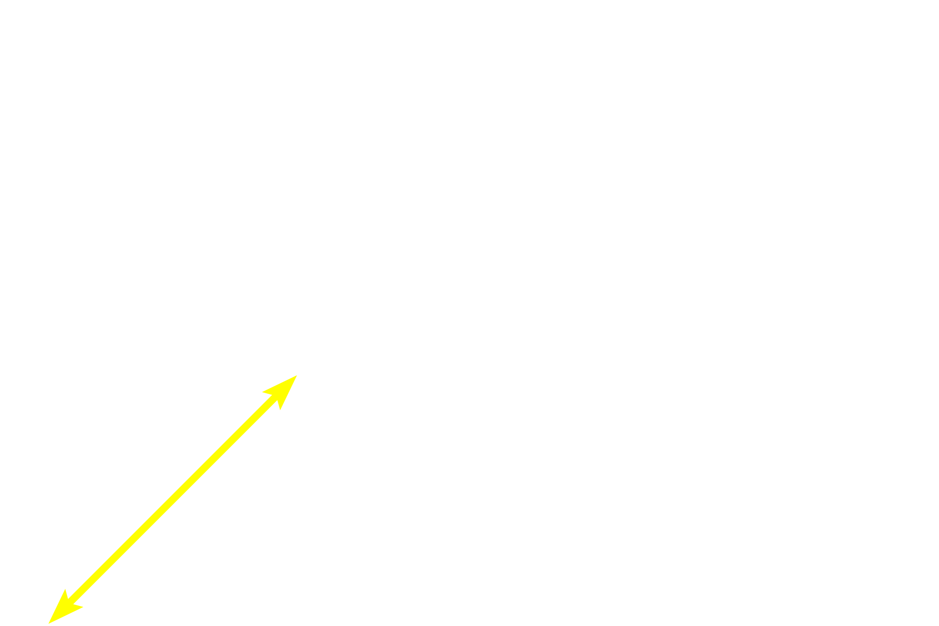 Glandular tissue <p>Adipocytes, or fat cells, are non-motile resident cells filled with stored lipid. This centrally located lipid compresses the remaining cytoplasm to a thin, outer rim. Each heterochromatic nucleus is visible as a crescent on one side of the cell. These adipocytes, as well as adjacent glands, are surrounded by a loose connective tissue. 300x</p>
