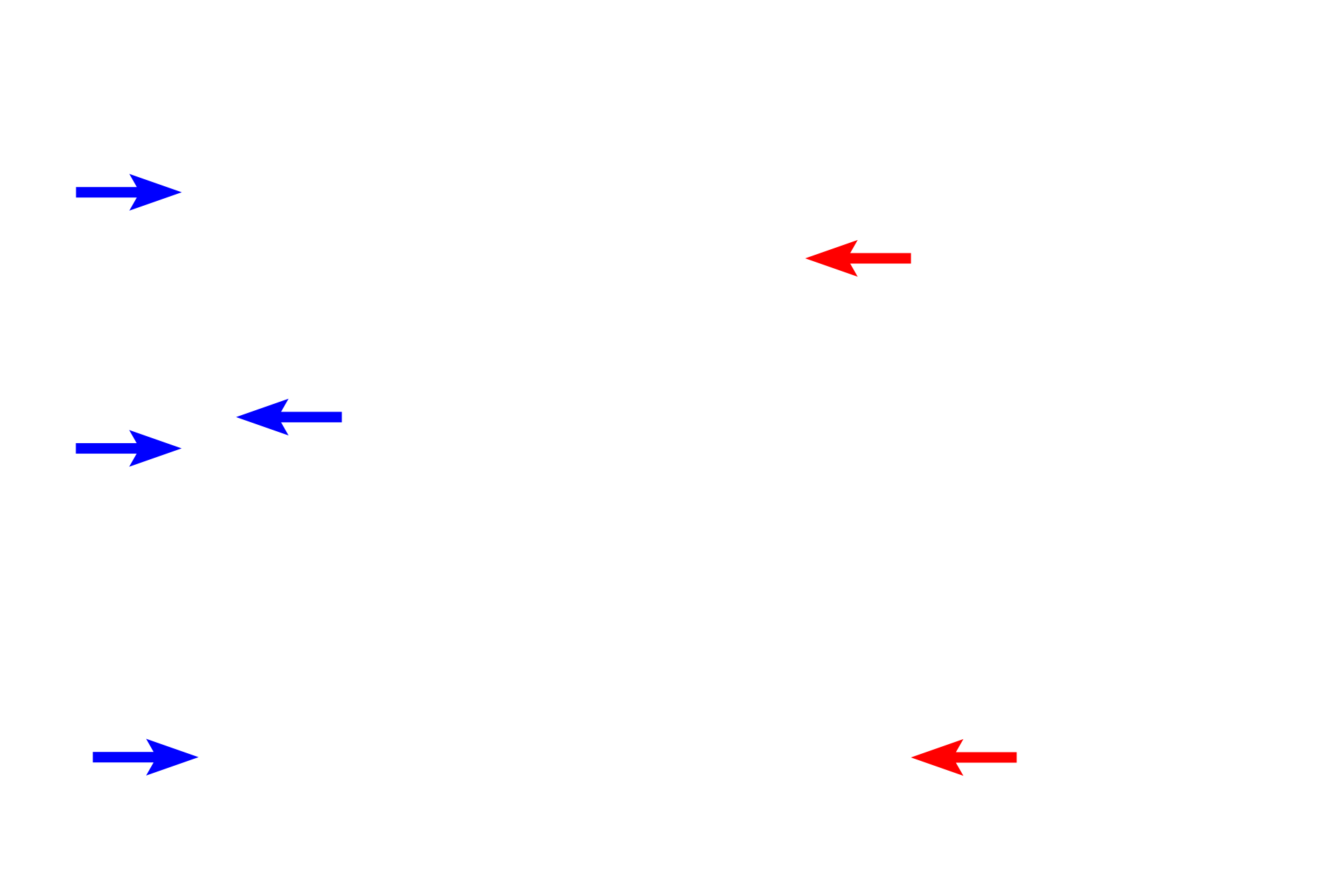 Cytoplasm <p>Macrophages are the major phagocytic cell in connective tissue. They are derived from blood-borne monocytes (upper left) that migrate into the tissue (two lower left panels). The ultrastructure of a macrophage is shown on the right. Macrophage nuclei are oval-shaped and frequently indented, reflecting the cell’s origin from a monocyte. The pink cytoplasm, when visible, contains numerous lysosomes and phagocytosed material. 1000x (LM), 8000x (EM)</p>
