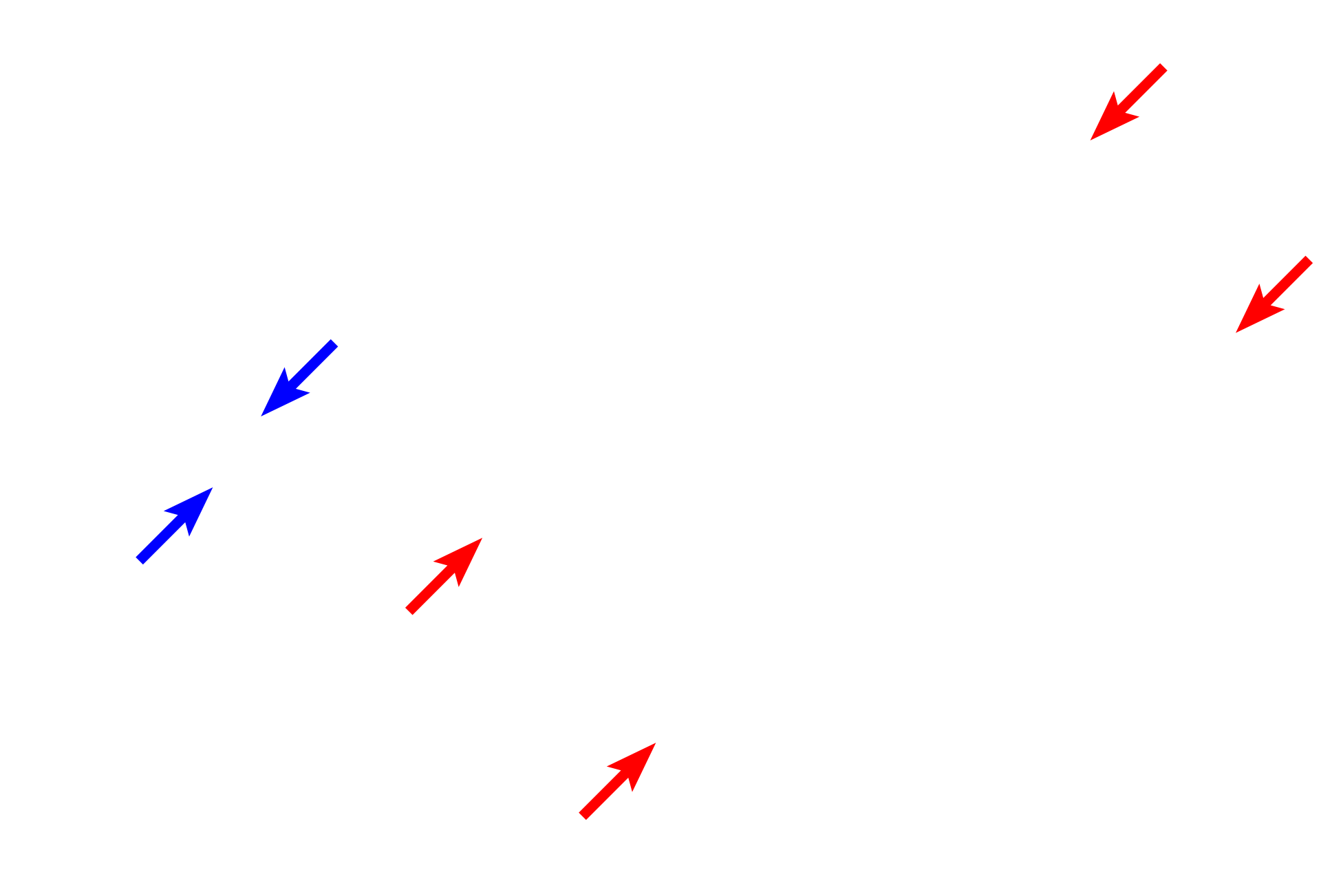 Membrane ruffles > <p>Macrophages are highly motile, phagocytic cells and possess a heavily folded and ruffled plasma membrane.</p>
