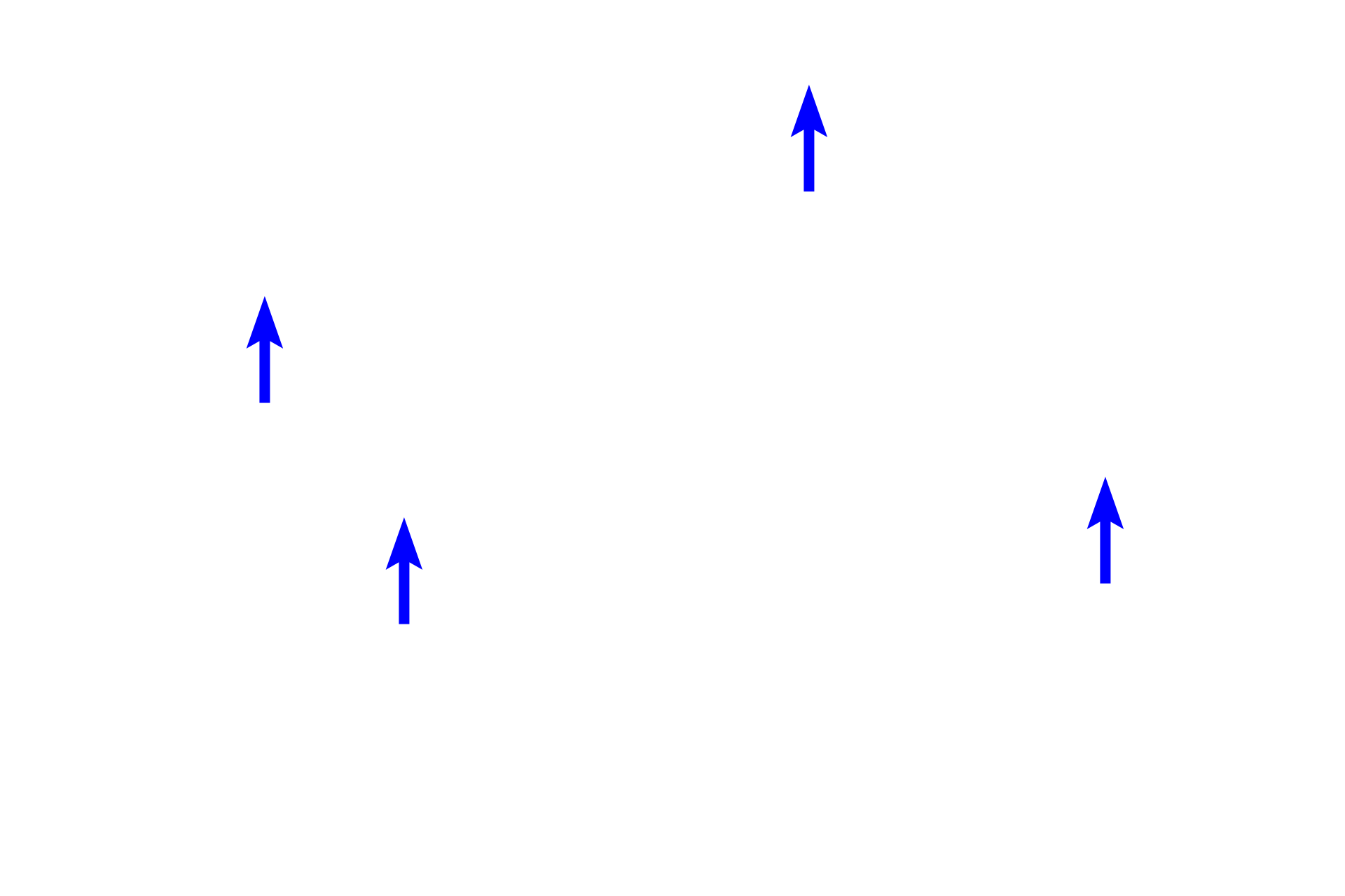 Nuclei <p>In this dense irregular connective tissue, numerous inactive fibroblasts are surrounded by large collagen bundles.  Fibroblasts are spindle- to stellate-shaped cells with attenuated cellular processes extending from dark, heterochromatic nuclei.  The space surrounding the cells and the collagen is filled with ground substance.  1000x</p>
