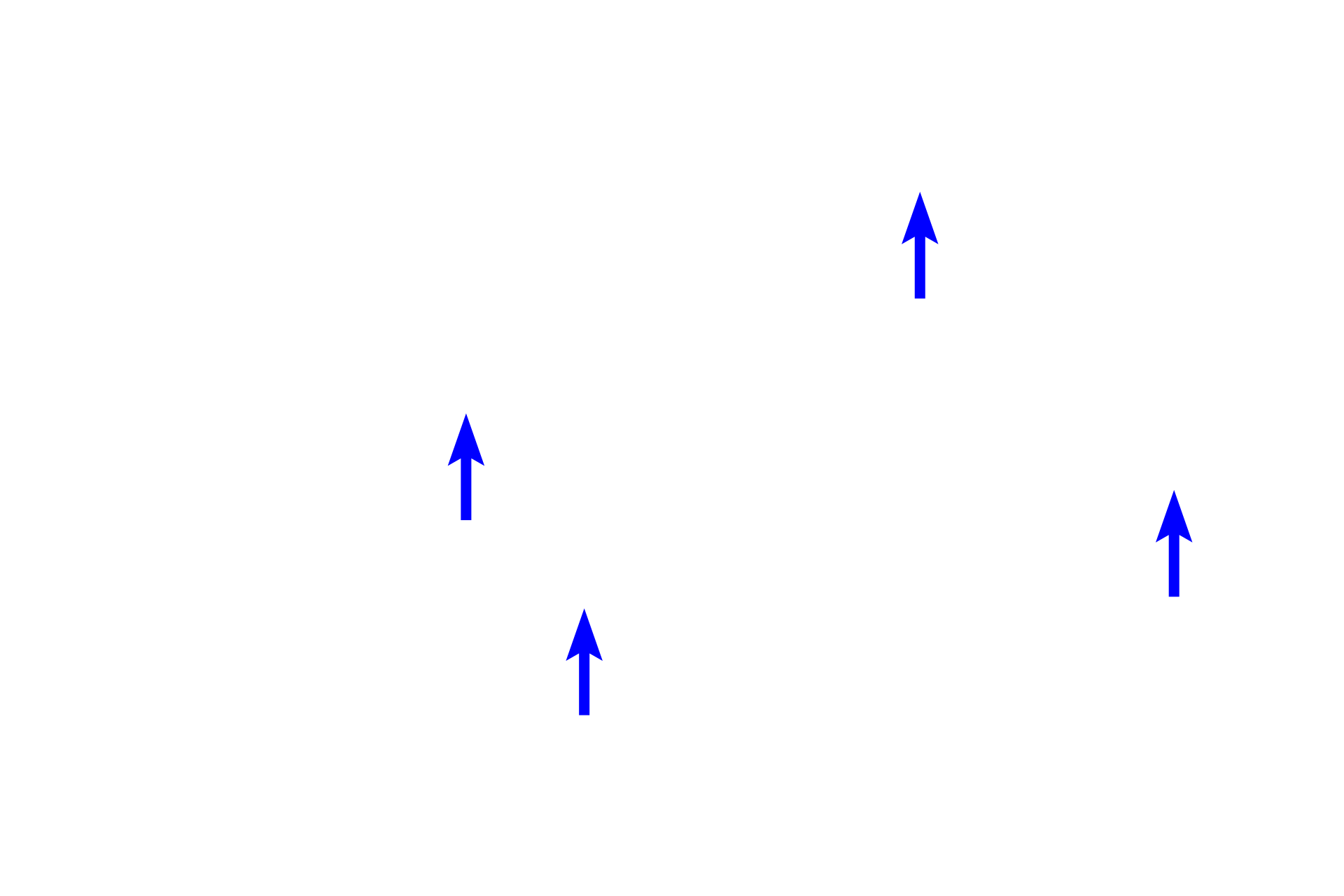 Collagen bundles <p>In this dense irregular connective tissue, numerous inactive fibroblasts are surrounded by large collagen bundles.  Fibroblasts are spindle- to stellate-shaped cells with attenuated cellular processes extending from dark, heterochromatic nuclei.  The space surrounding the cells and the collagen is filled with ground substance.  1000x</p>
