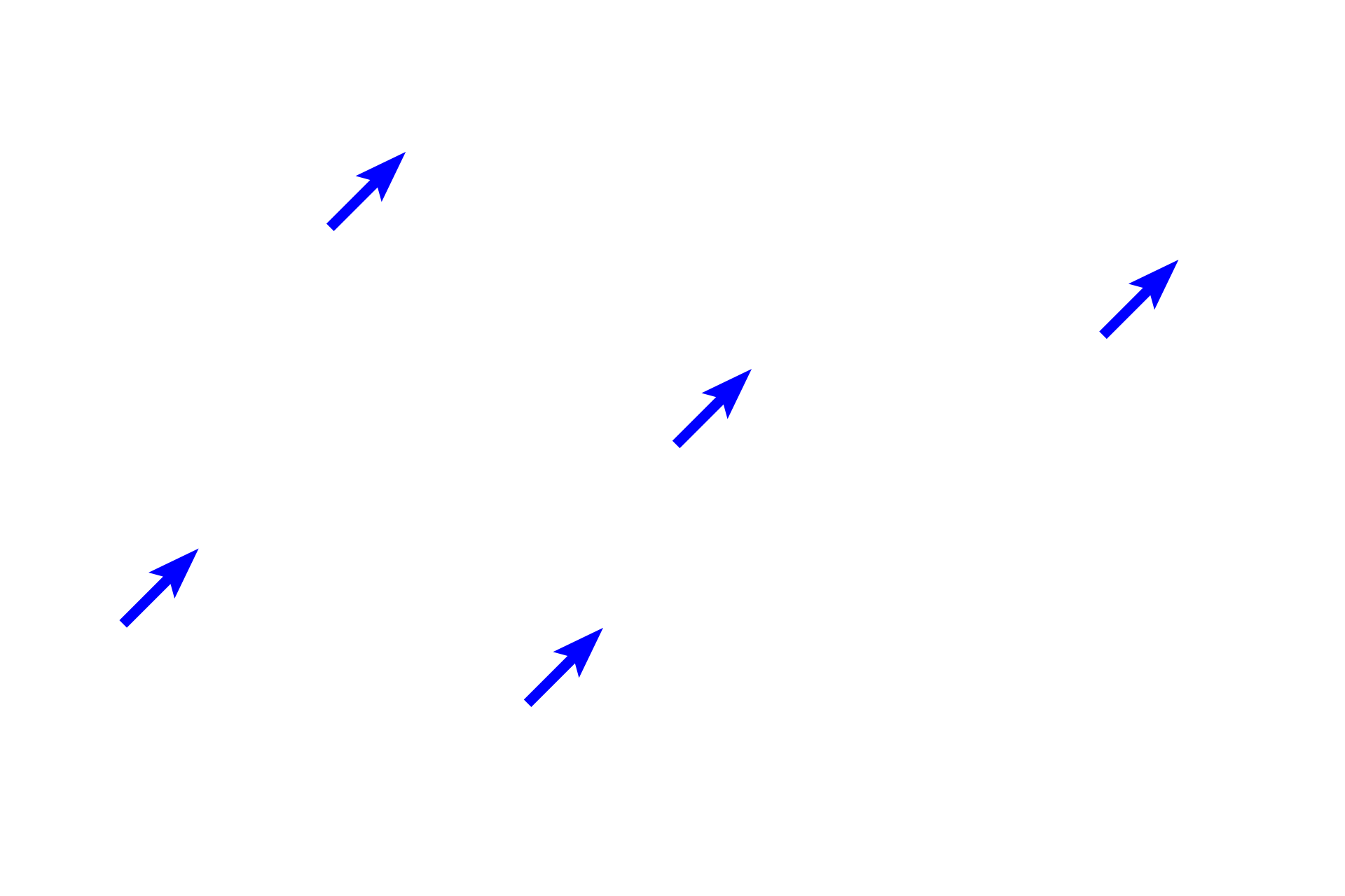 Ground substance <p>In this dense irregular connective tissue, numerous inactive fibroblasts are surrounded by large collagen bundles.  Fibroblasts are spindle- to stellate-shaped cells with attenuated cellular processes extending from dark, heterochromatic nuclei.  The space surrounding the cells and the collagen is filled with ground substance.  1000x</p>

