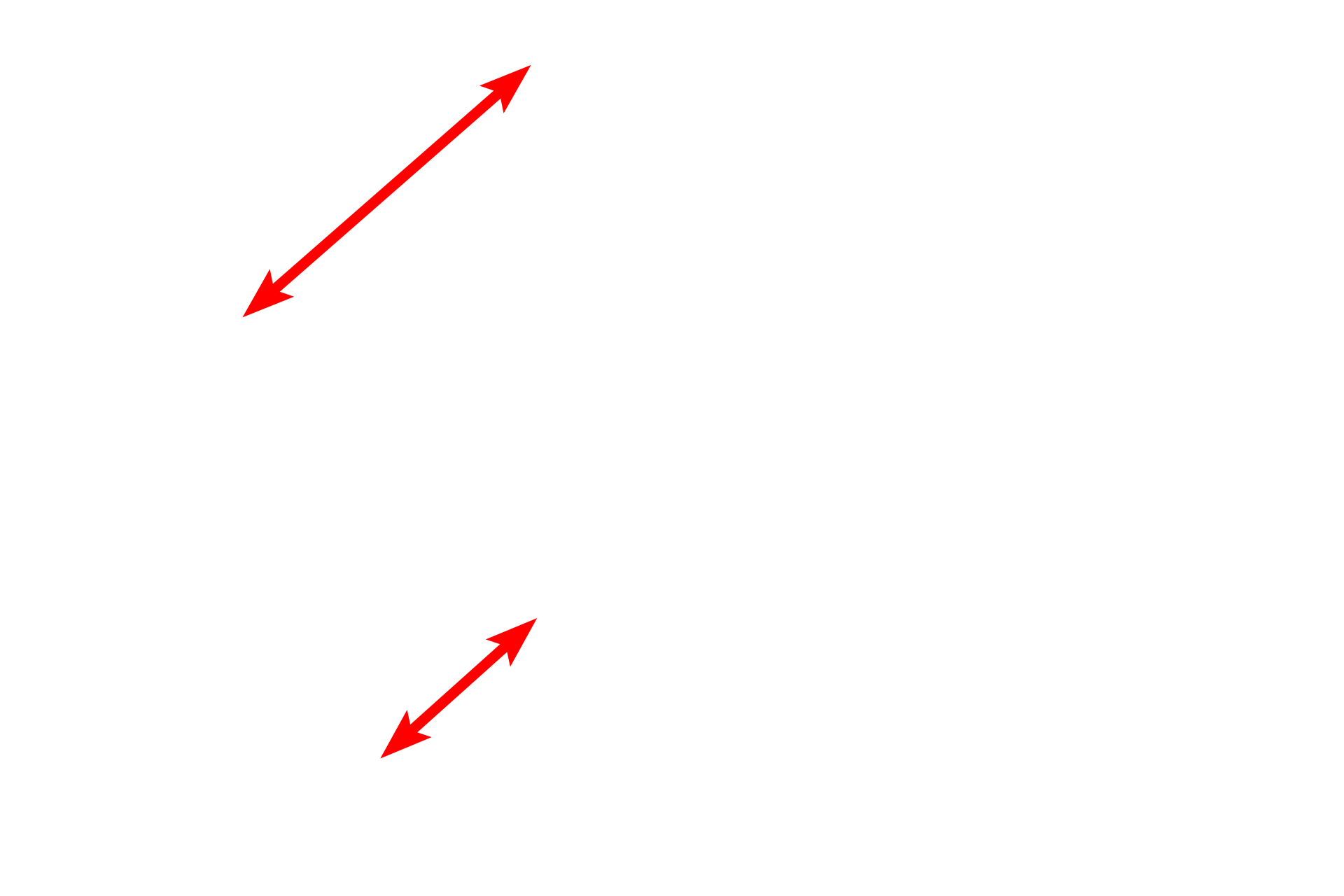 Collagen <p>This relatively inactive fibroblast is located in the dense connective tissue capsule that surrounds the kidney. This cell has a mostly heterochromatic nucleus and thin processes.  7000x</p>
