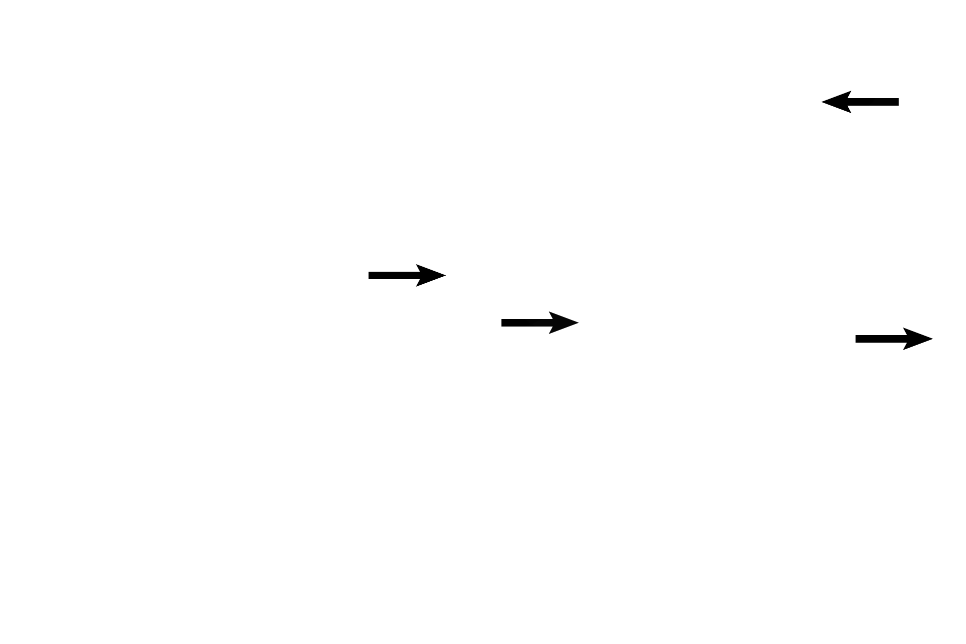 Bronchial vessels <p>A low magnification view of the lungs shows a cross section of a bronchus accompanied by two sections of a large pulmonary artery. Pulmonary arteries lie adjacent to, not within the wall of, the respiratory passageways, carrying deoxygenated blood to the alveolar capillary bed. 40x</p>
