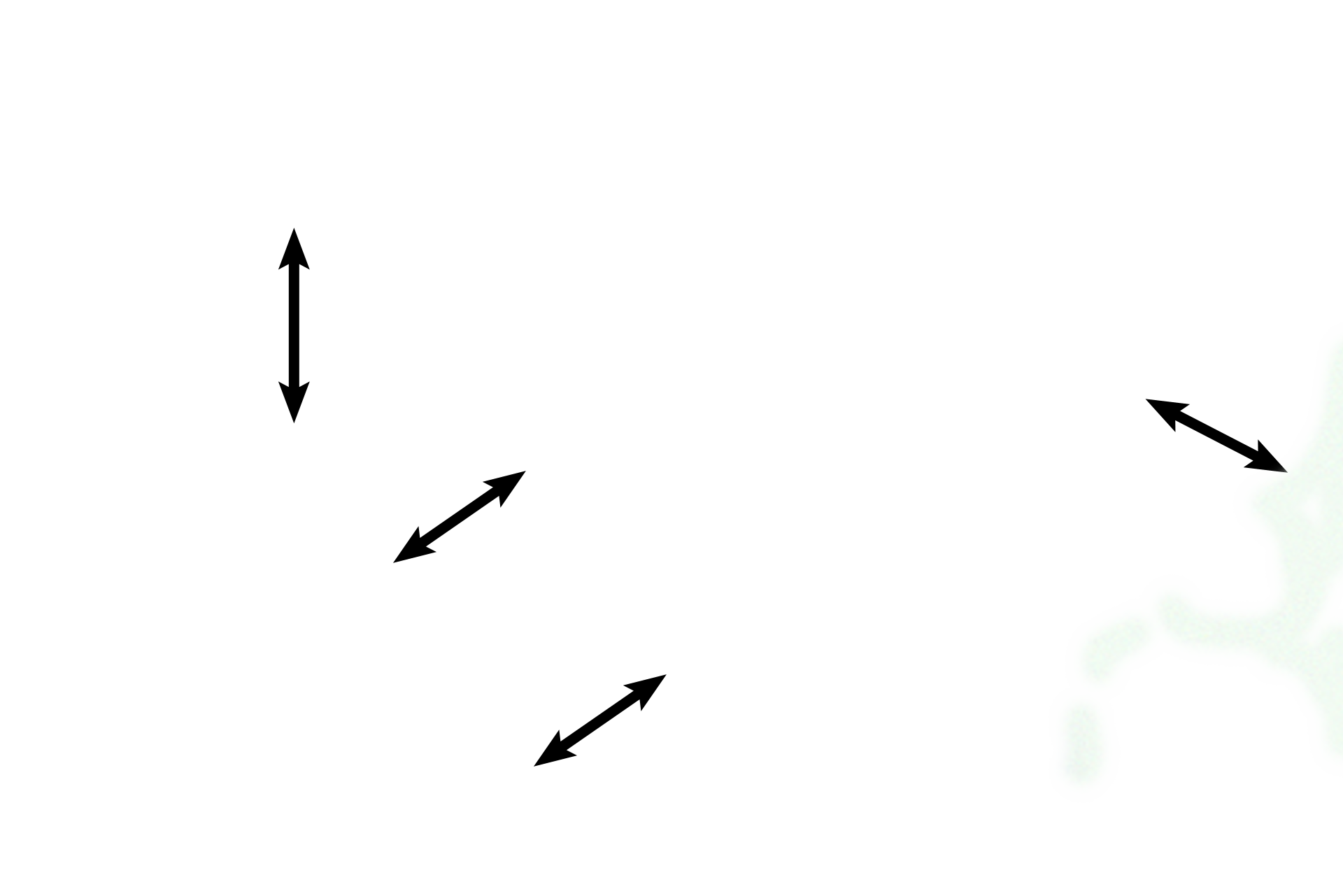 Interalveolar septum <p>Deoxygenated blood from the pulmonary arteries supplies the pulmonary capillaries in the interalveolar septa. The walls of these capillaries form a portion of the air-blood barrier, across which oxygen and carbon dioxide are transported. Pulmonary capillaries drain into pulmonary veins. 1000x </p>
