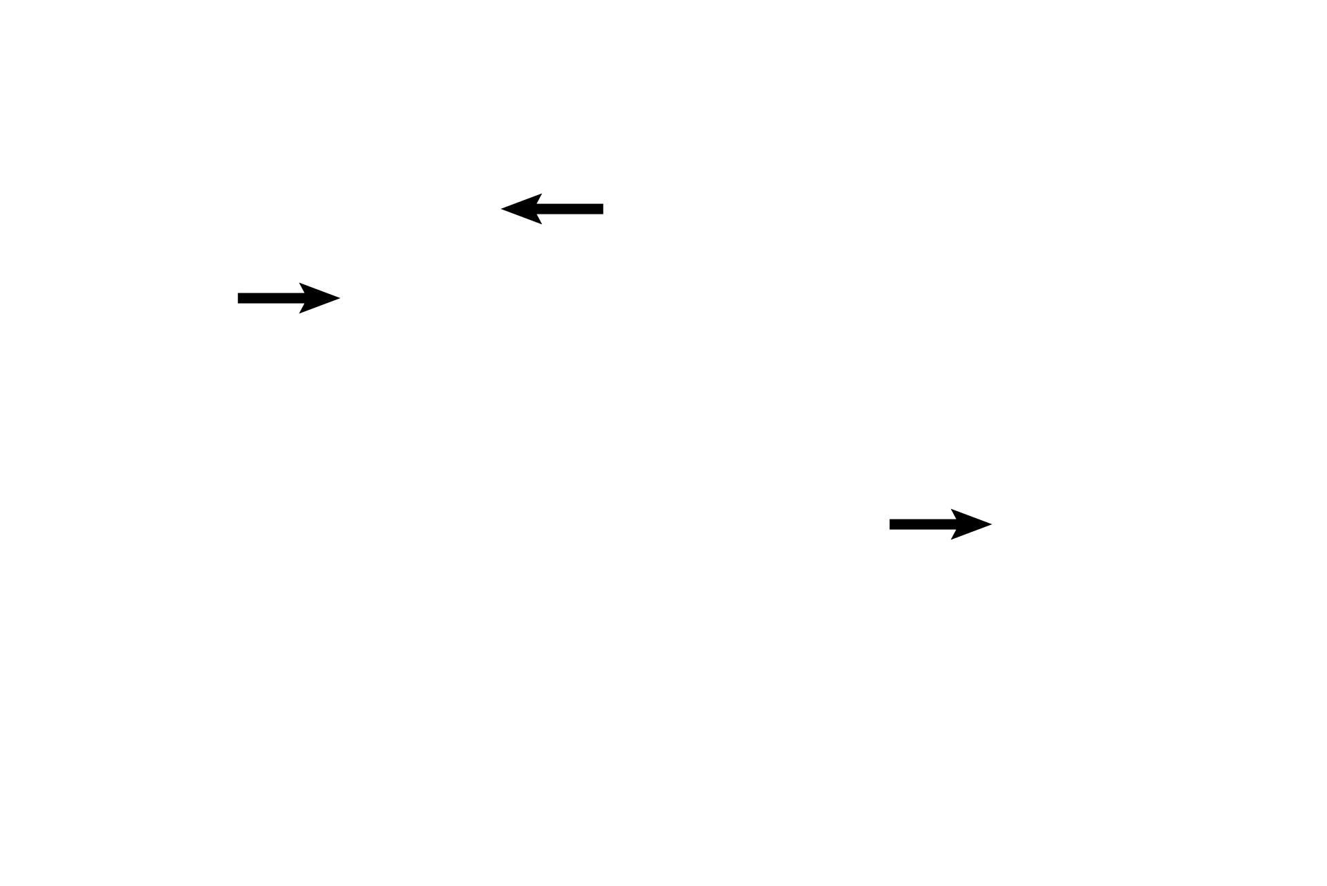Endothelial cell nuclei <p>Deoxygenated blood from the pulmonary arteries supplies the pulmonary capillaries in the interalveolar septa. The walls of these capillaries form a portion of the air-blood barrier, across which oxygen and carbon dioxide are transported. Pulmonary capillaries drain into pulmonary veins. 1000x </p>
