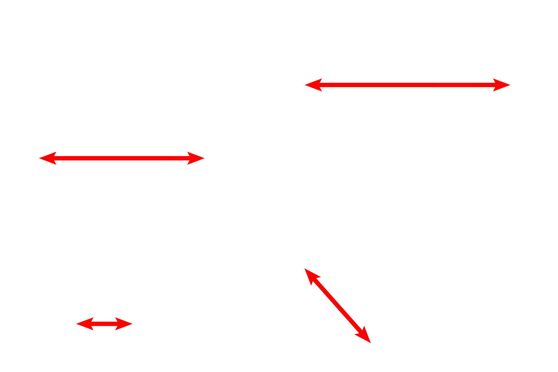 Interalveolar septa      <p>Pulmonary capillaries, supplied by the pulmonary artery, protrude from the interalveolar septa into alveoli, thus maximizing the surface area across which gas exchange can occur. 1000x, 4000x</p>
