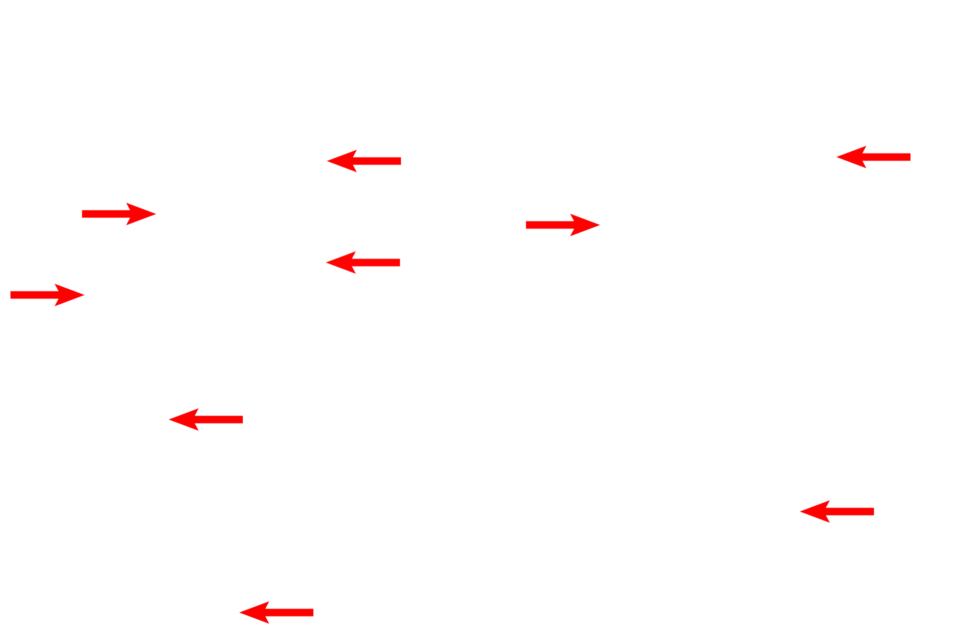 Pulmonary capillaries      <p>Pulmonary capillaries, supplied by the pulmonary artery, protrude from the interalveolar septa into alveoli, thus maximizing the surface area across which gas exchange can occur. 1000x, 4000x</p>
