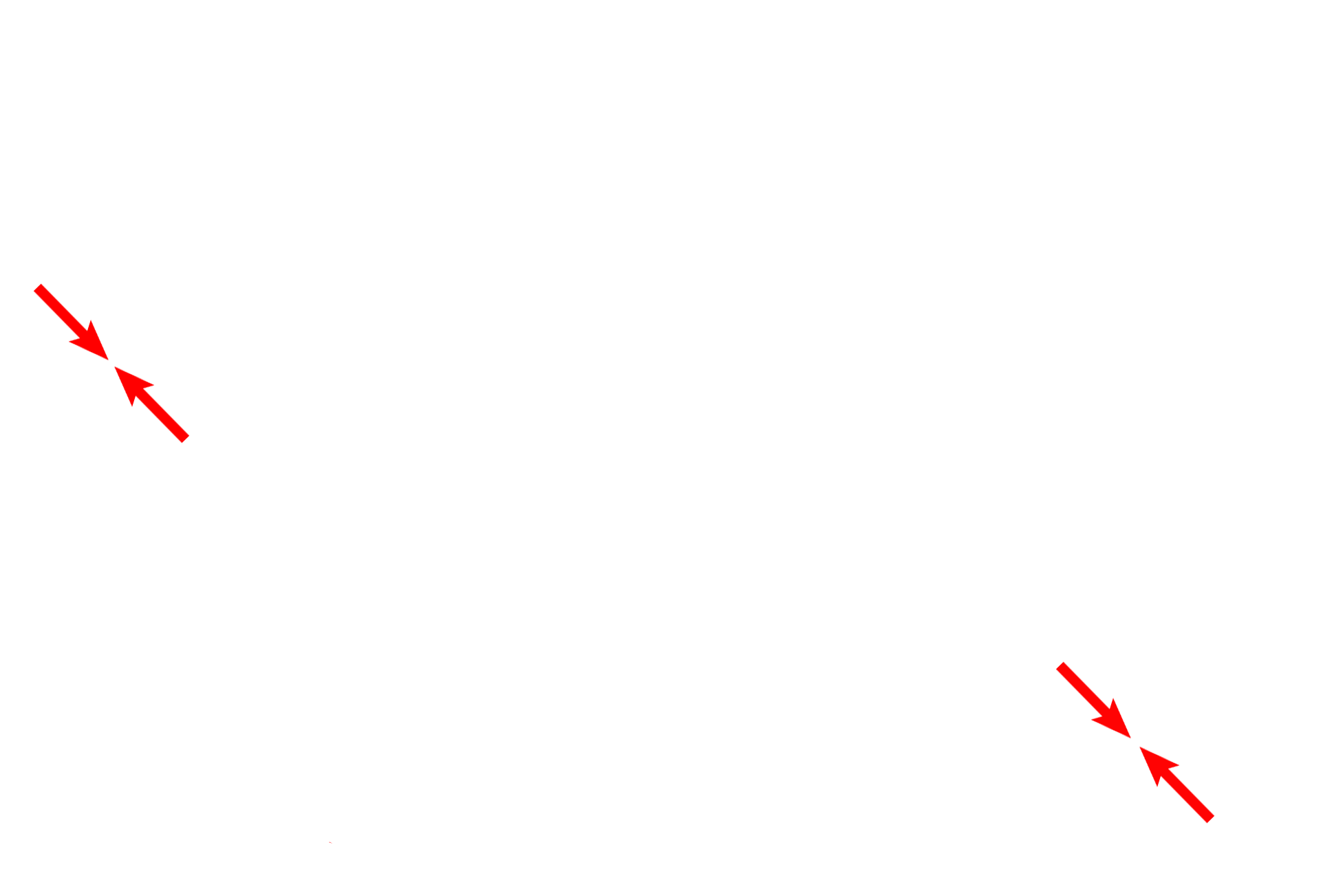 Air-blood barrier <p>Pulmonary capillaries, supplied by the pulmonary artery, protrude from the interalveolar septa into alveoli, thus maximizing the surface area across which gas exchange can occur. 1000x, 4000x</p>
