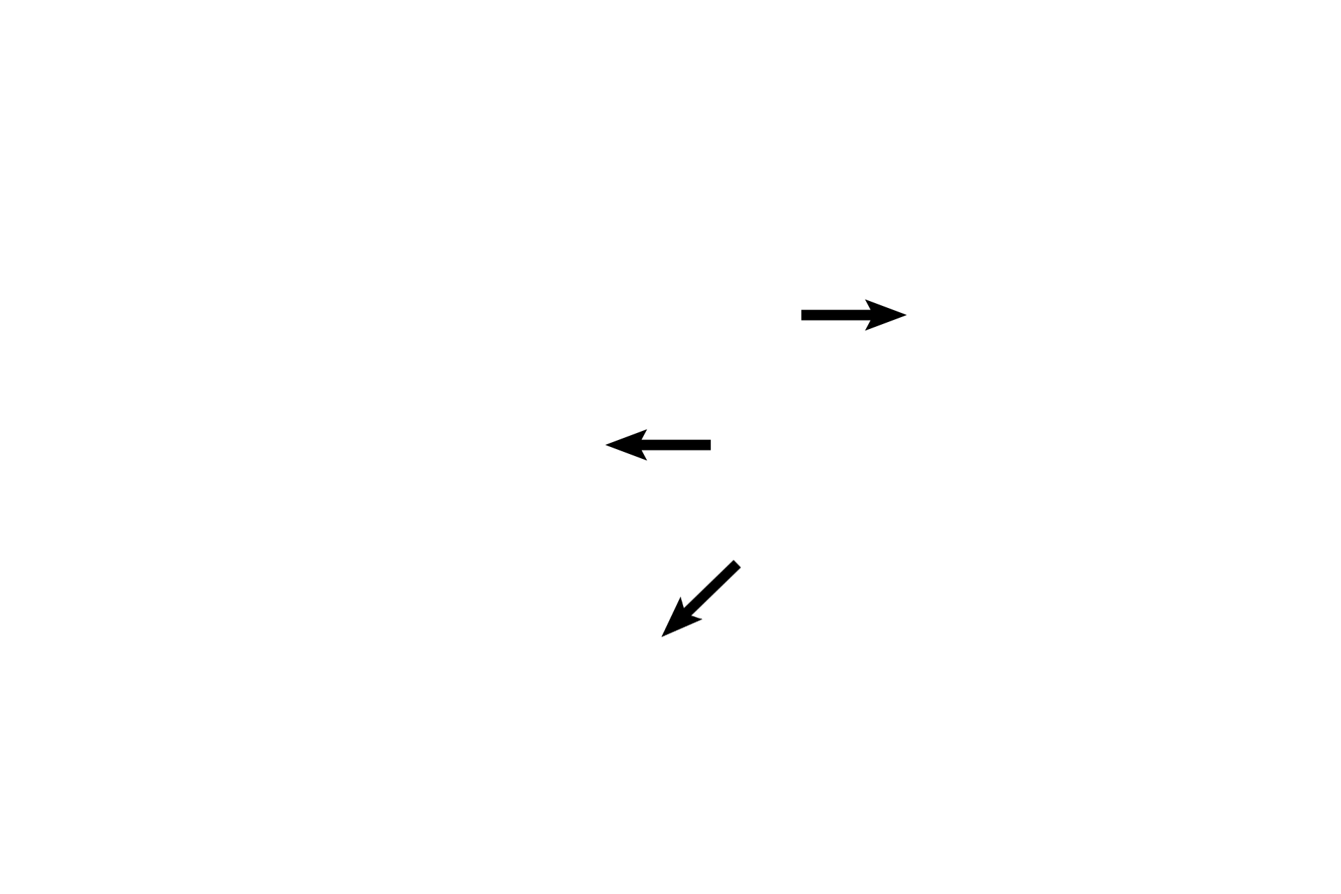 Endothelial cells <p>Pulmonary veins carry oxygenated blood from the pulmonary capillaries back to the left atrium. These vessels do not accompany the smaller respiratory passageways; instead, they travel alone, frequently seen in the connective tissue septa that subdivide the lung. 100x </p>
