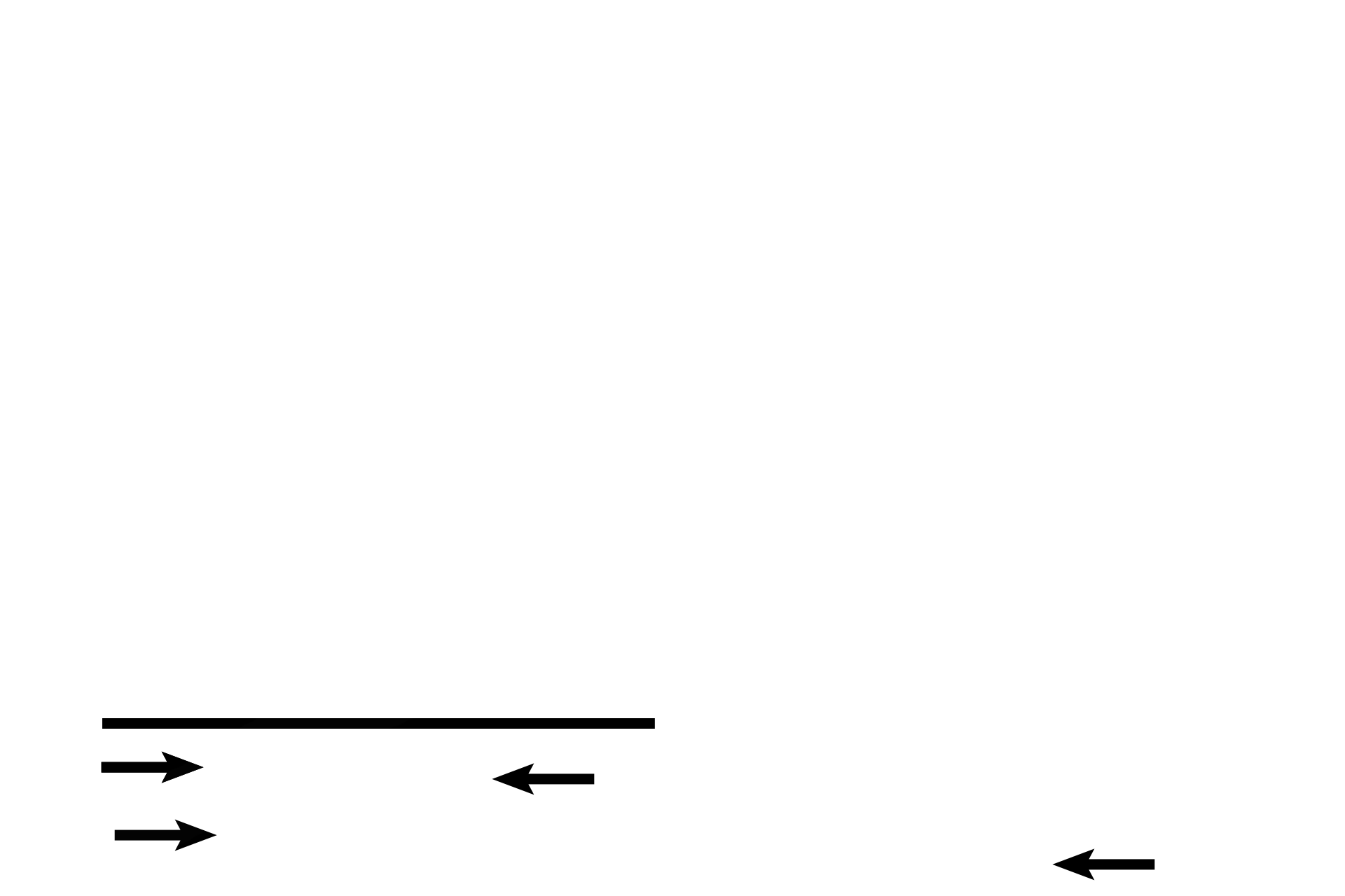 Trachea > <p>The trachea begins at the inferior border of the larynx just beneath the cricoid cartilage (below line). The patency of the trachea is maintained by C-shaped, hyaline-cartilage rings (arrows). </p>
