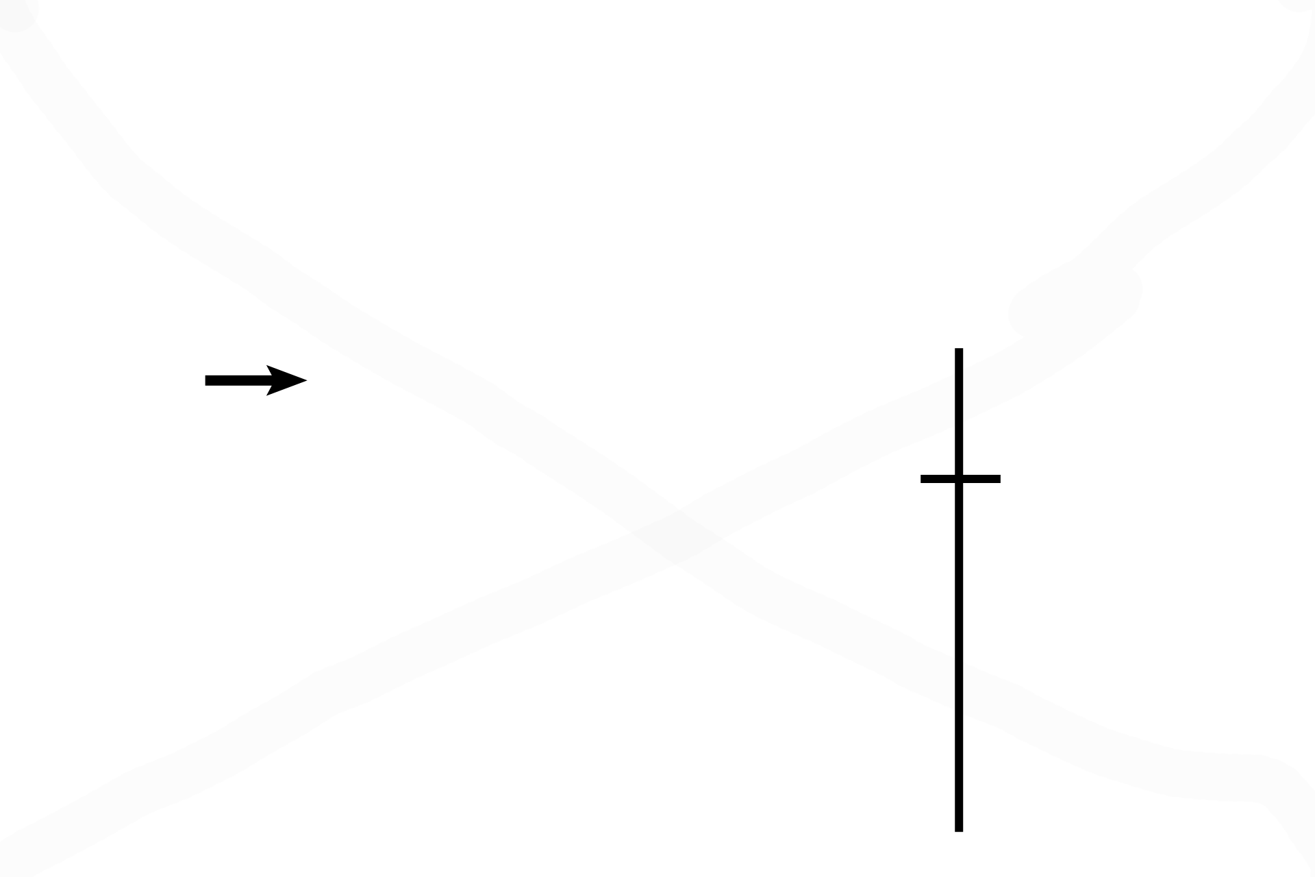 Nasal septum <p>The fetal head, in coronal section, shows the nasal region, with skin and hair follicles on its surface. A nasal septum separates the two nasal cavities, whose lateral walls are formed here by middle and inferior nasal conchae. (The superior conchus is posterior and superior to this section.) Cartilage forming this fetal skeleton will be replaced by bone in the adult. 10x </p>
