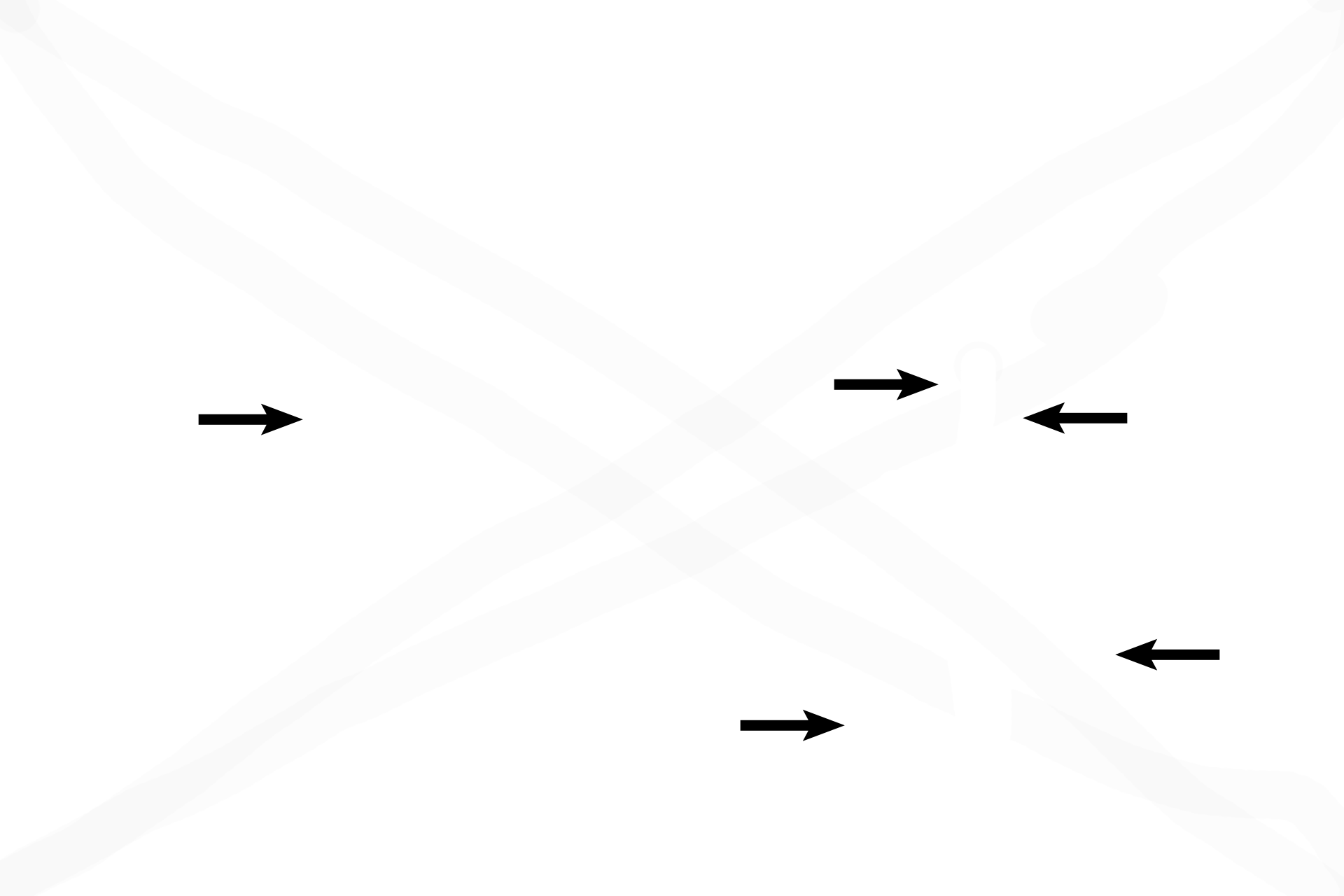 Nasal cavities <p>The fetal head, in coronal section, shows the nasal region, with skin and hair follicles on its surface. A nasal septum separates the two nasal cavities, whose lateral walls are formed here by middle and inferior nasal conchae. (The superior conchus is posterior and superior to this section.) Cartilage forming this fetal skeleton will be replaced by bone in the adult. 10x </p>
