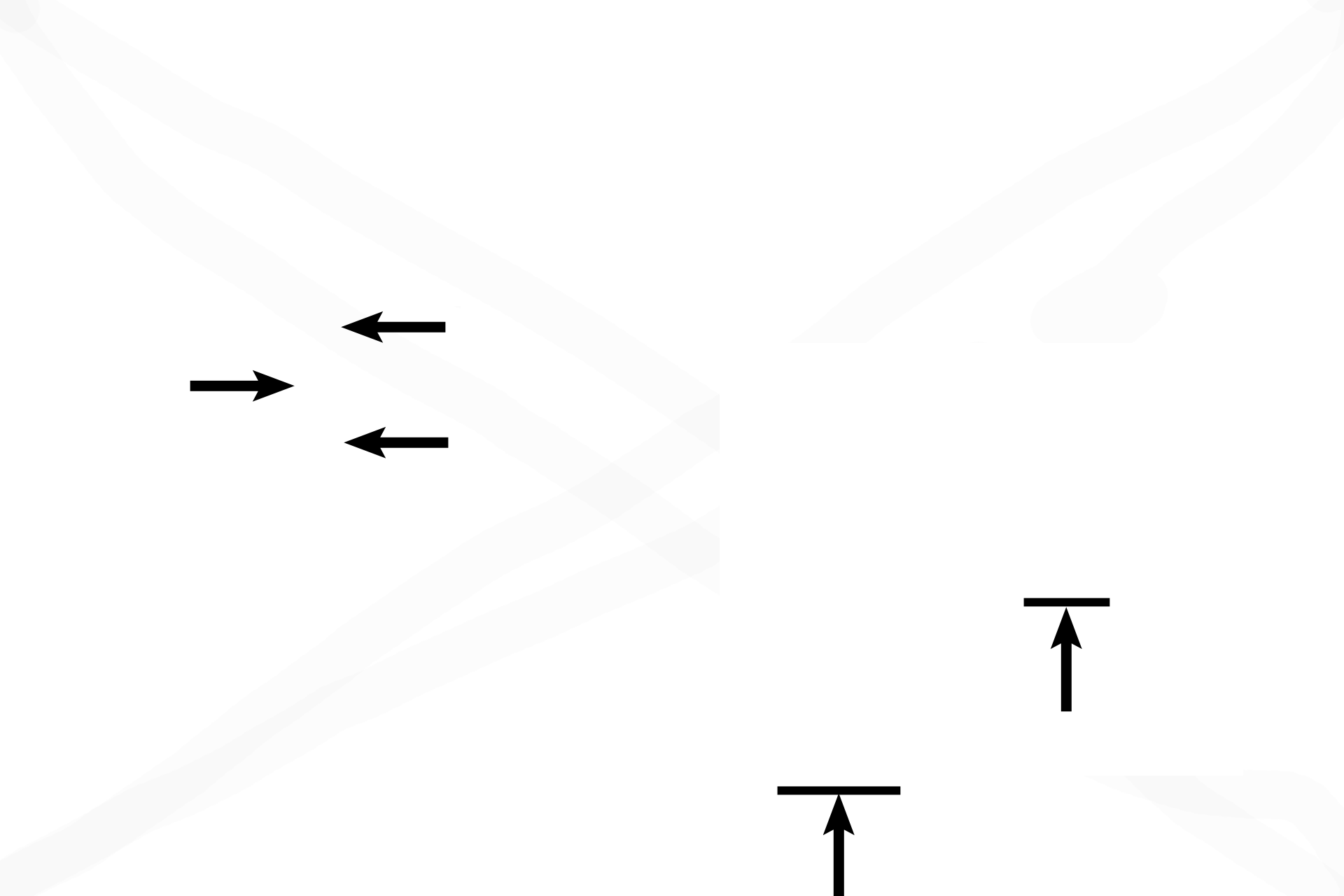Conchae <p>The fetal head, in coronal section, shows the nasal region, with skin and hair follicles on its surface. A nasal septum separates the two nasal cavities, whose lateral walls are formed here by middle and inferior nasal conchae. (The superior conchus is posterior and superior to this section.) Cartilage forming this fetal skeleton will be replaced by bone in the adult. 10x </p>
