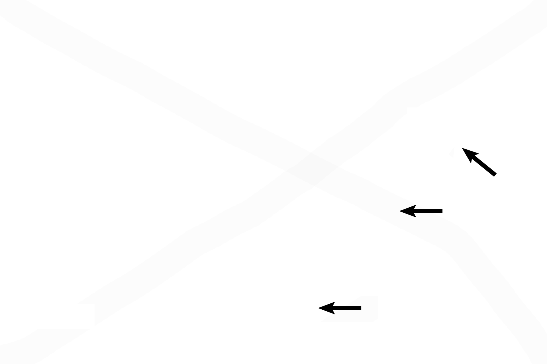 Bone <p>This particular section shows the junction of respiratory with olfactory epithelia, demonstrating the difference in their thicknesses. Numerous blood vessels are present to moderate air temperature. The superior concha of the ethmoid bone provides support. 400x</p>
