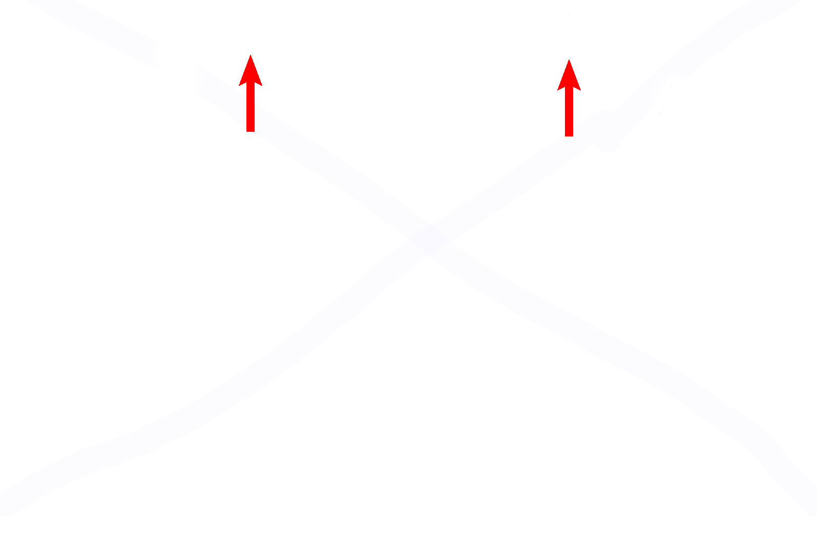 Epithelium <p>Another image of the trachea or primary bronchus demonstrates the components forming the wall of these passageways. 100x</p>
