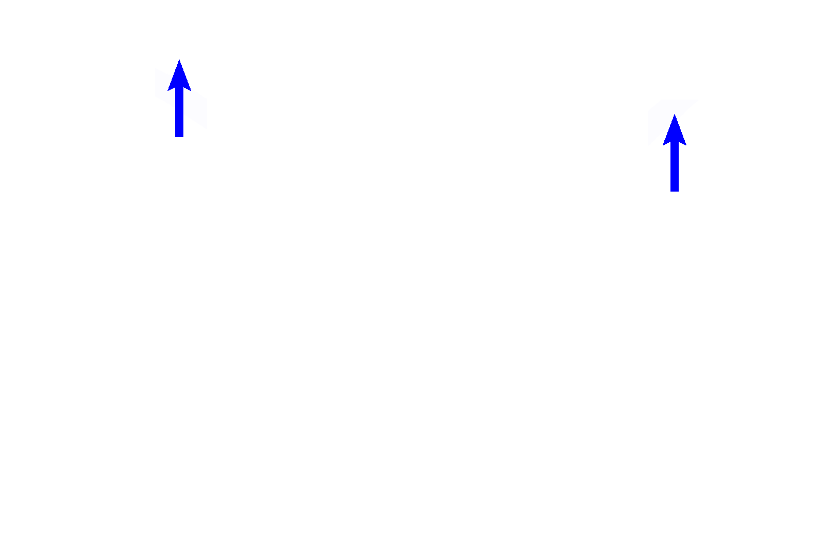  - Basement membrane <p>Another image of the trachea or primary bronchus demonstrates the components forming the wall of these passageways. 100x</p>
