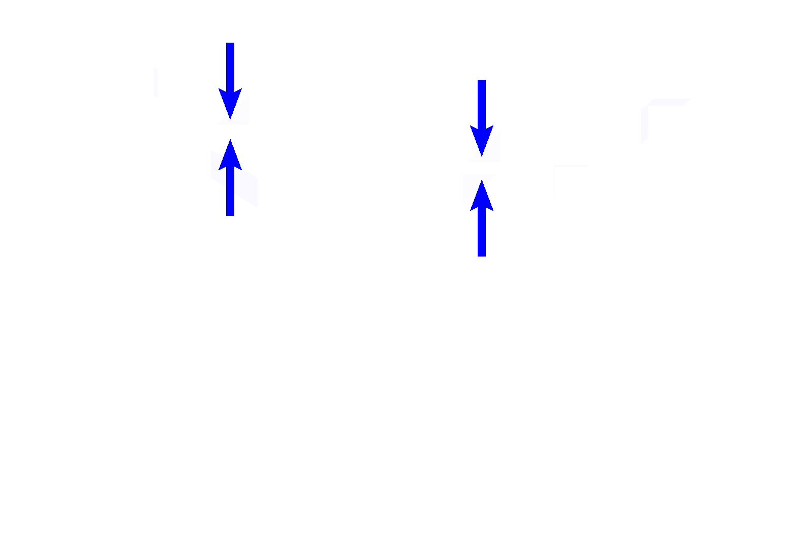  - Elastic lamina <p>Another image of the trachea or primary bronchus demonstrates the components forming the wall of these passageways. 100x</p>
