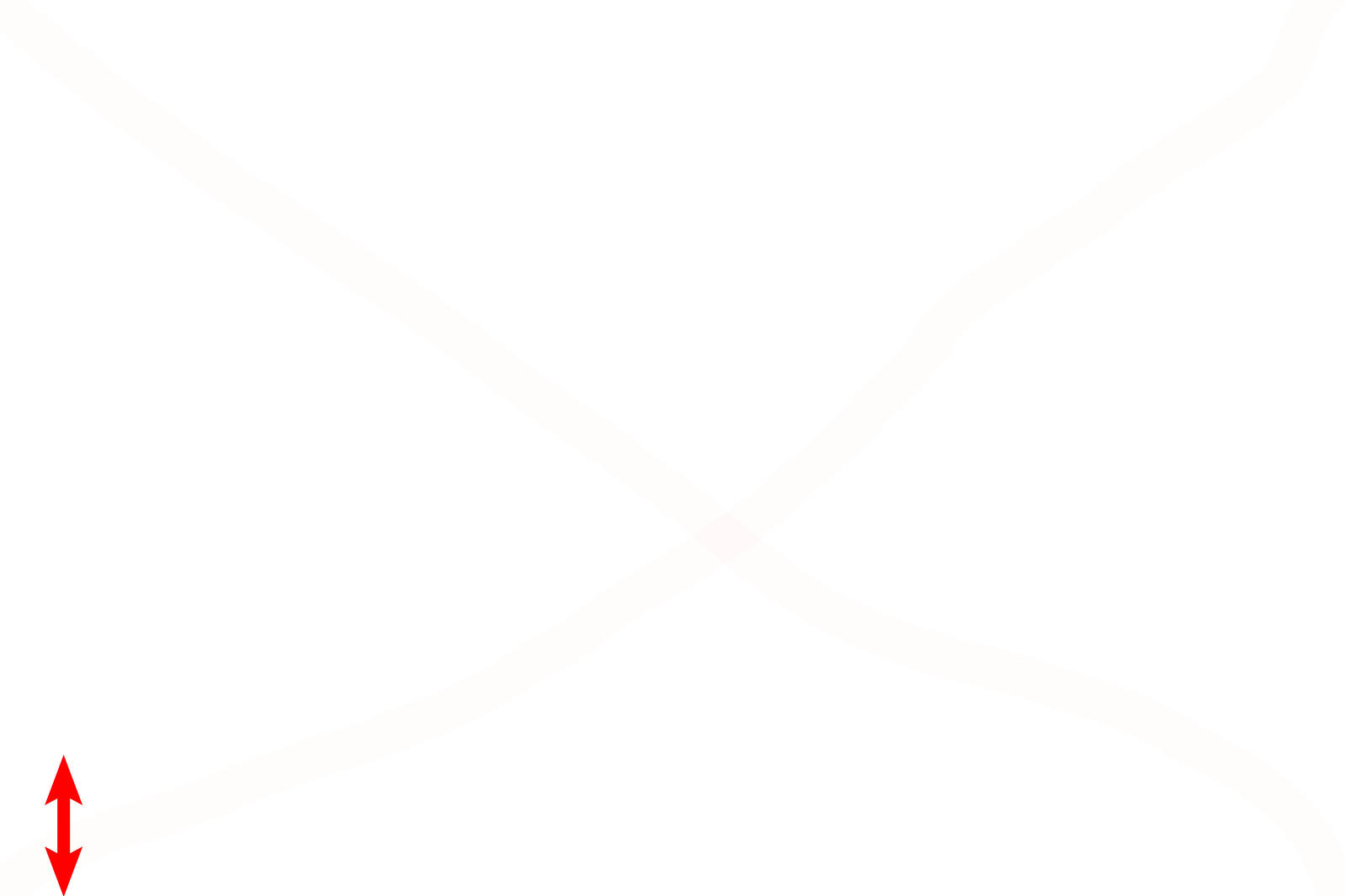 Hyaline cartilage <p>Another image of the trachea or primary bronchus demonstrates the components forming the wall of these passageways. 100x</p>
