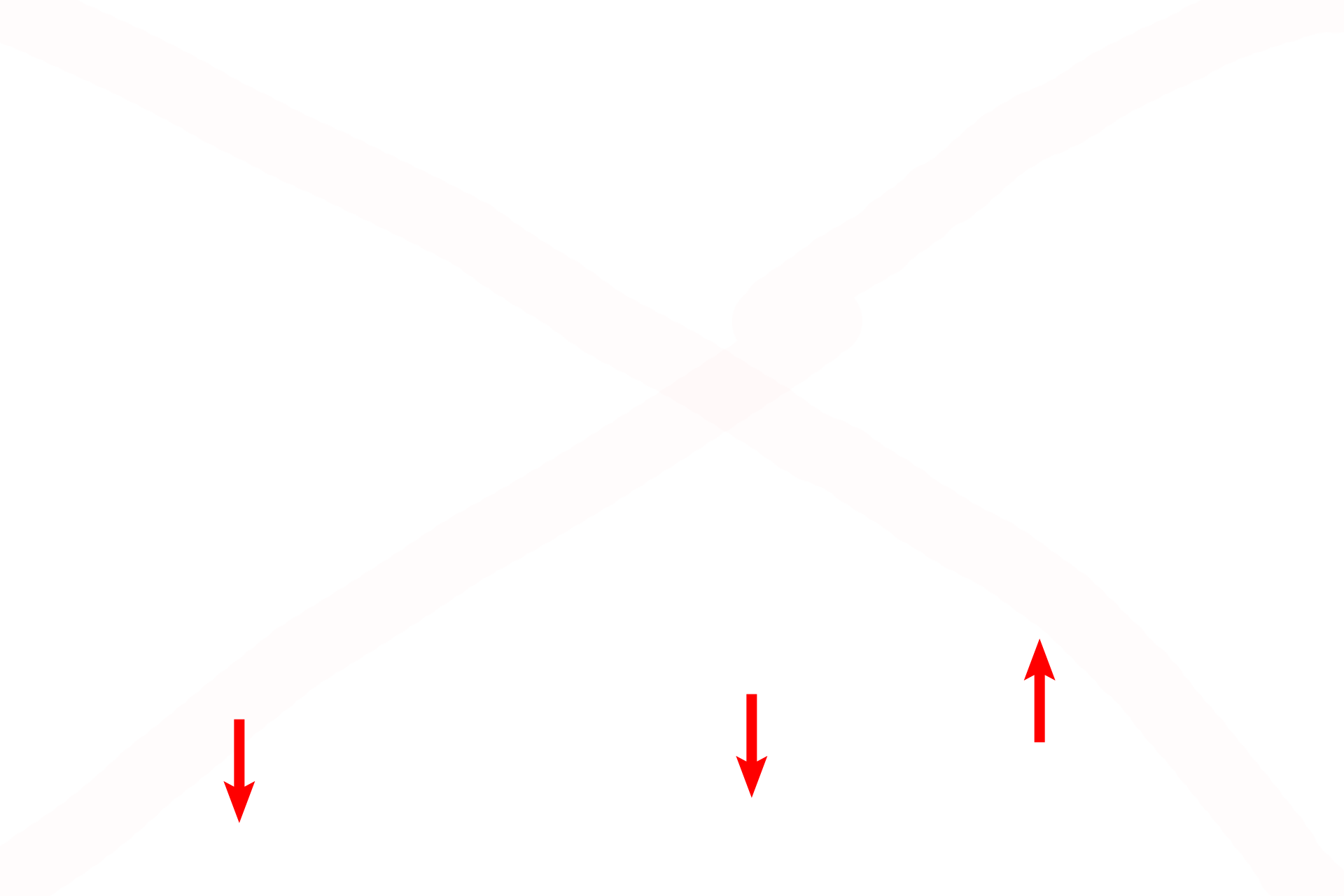 Basement membrane <p>The epithelium lining the trachea and primary bronchi is respiratory epithelium, pseudostratified columnar with cilia and goblet cells. The basement membrane is frequently prominent beneath this epithelium. 1000x</p>
