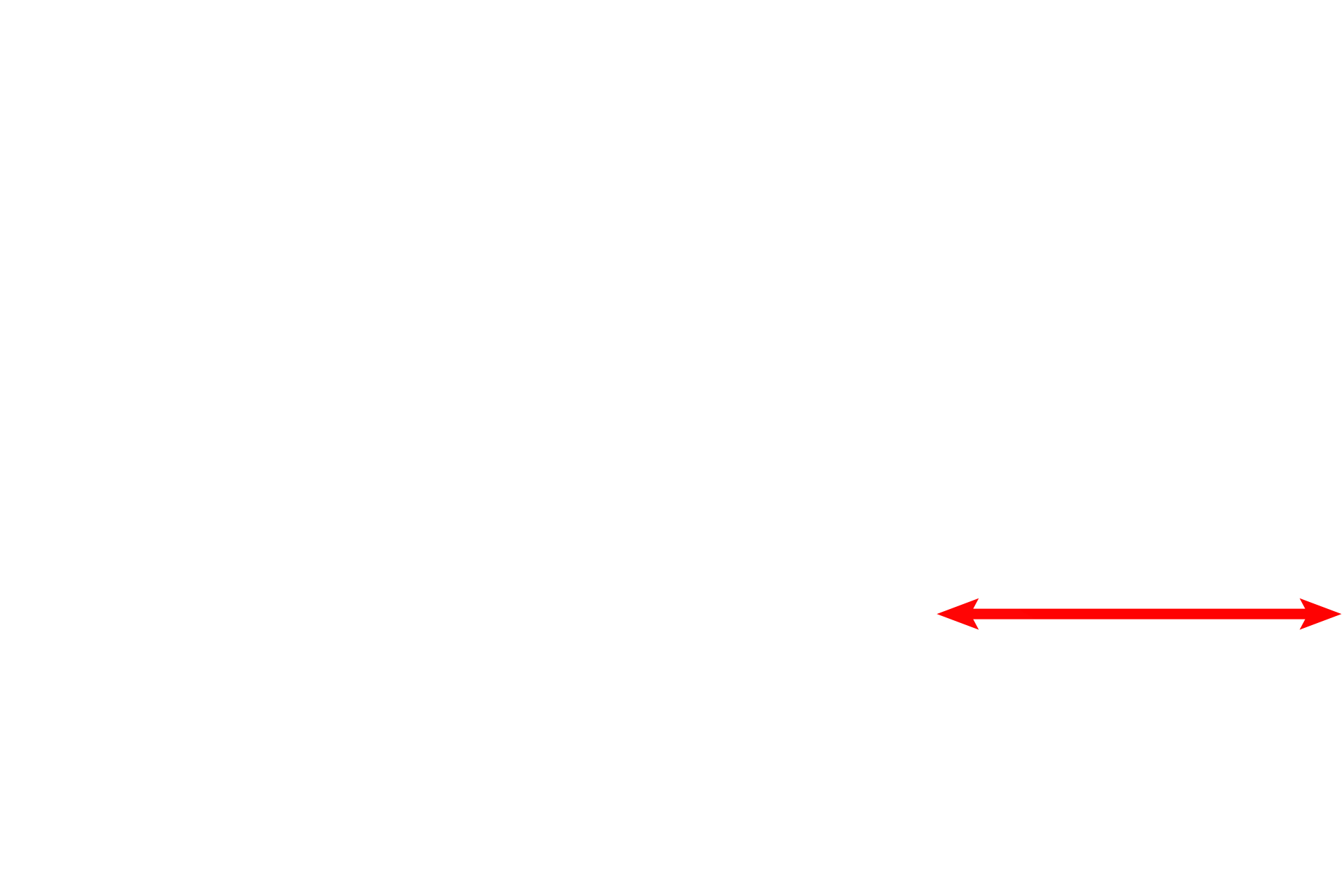 Respiratory epithelium <p>The elastic lamina of the trachea and primary bronchi is composed of longitudinally oriented elastic fibers that are organized into a discrete band, the elastic lamina. Cells of the immune system, such as the plasma cells seen here, are prevalent in the connective tissue of the respiratory system.  1000x</p>
