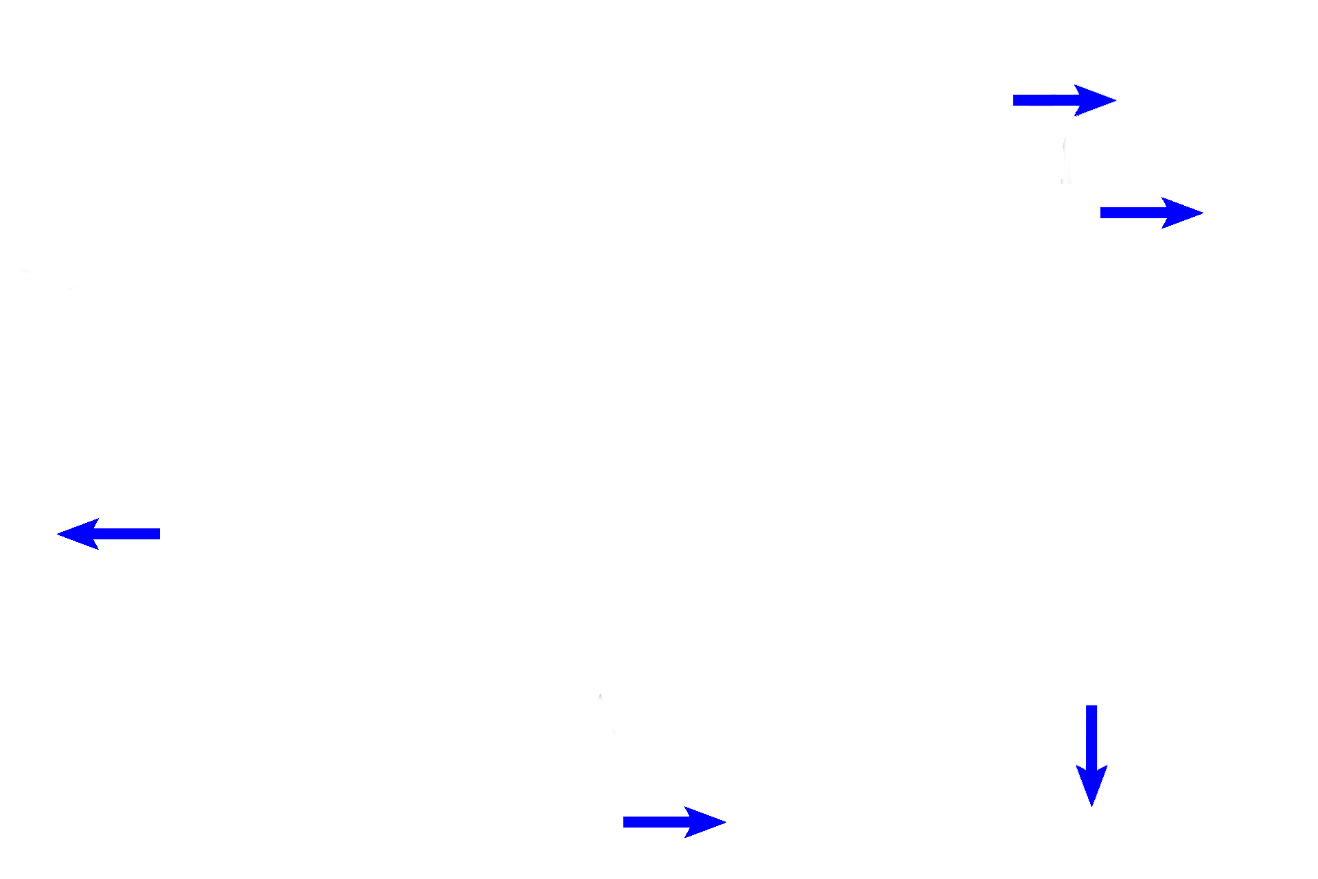  - Smooth muscle <p>Larger bronchioles are lined by respiratory epithelium. Numerous longitudiinal elastic fibers continue in the lamina propria. The spiraling smooth muscle layer reaches its greatest relative thickness in bronchioles. No cartilage nor mixed glands persist at this level. 200x, 400x </p>
