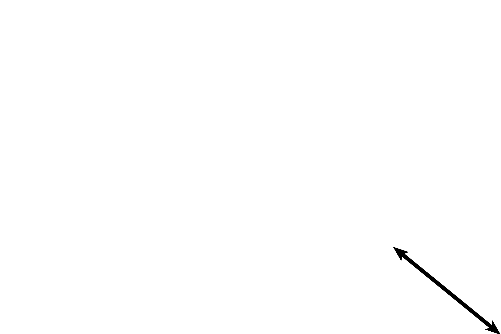 Lamina propria <p>The pseudostratified columnar epithelium of the larger bronchioles decreases in height as bronchioles decrease in diameter. This bronchiole is lined by a simple columnar epithelium with cilia and goblet cells. 1500x</p>
