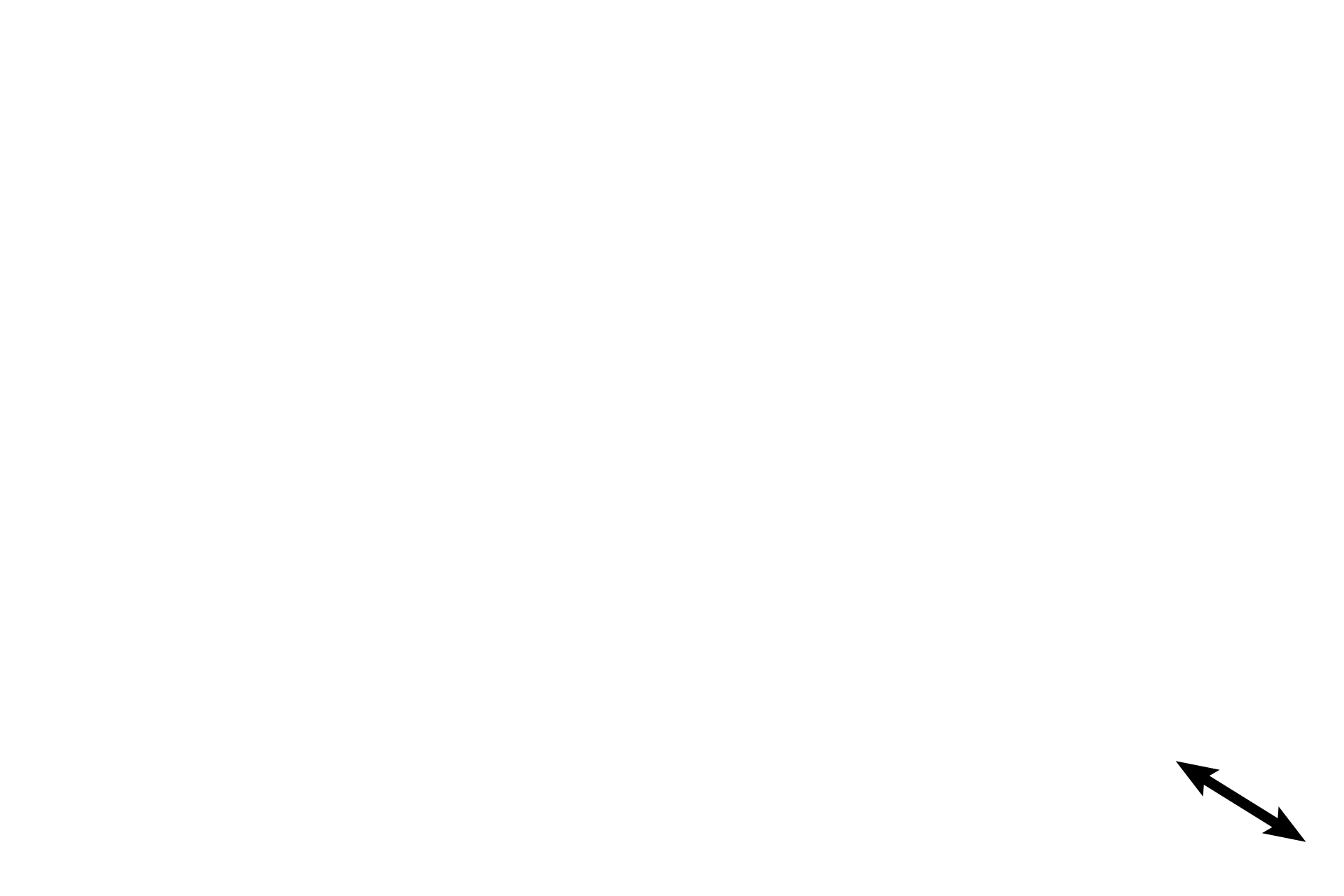  - Smooth muscle <p>The pseudostratified columnar epithelium of the larger bronchioles decreases in height as bronchioles decrease in diameter. This bronchiole is lined by a simple columnar epithelium with cilia and goblet cells. 1500x</p>
