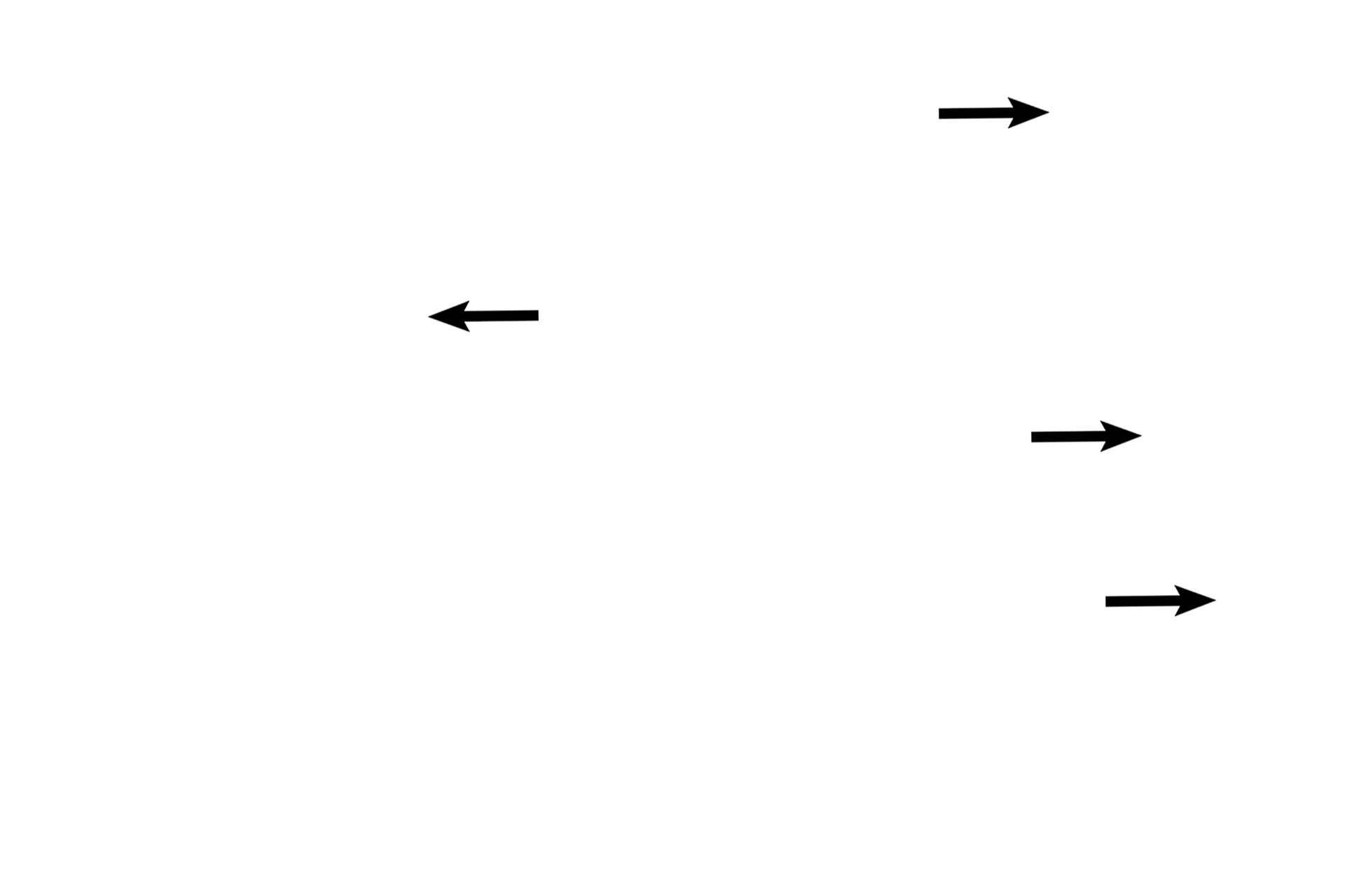  - Basal bodies <p>The smallest bronchiole (terminal) resembles a larger bronchiole except that it is narrower in diameter and its layers are thinner. The epithelium is simple columnar with cilia; club cells appear for the first time here. Elastic fibers continue in the lamina propria. A smooth muscle layer is still present. 200x, 1000x</p>

