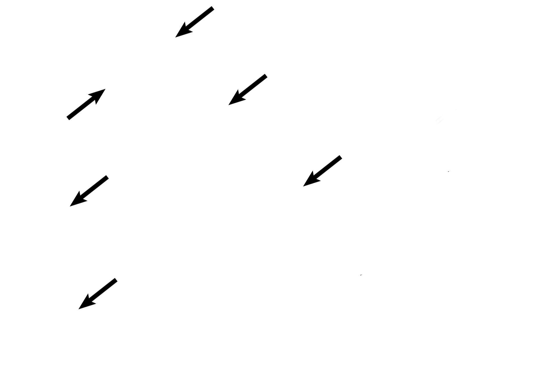Mixed glands <p>Upon entering the lungs, primary bronchi branch to form secondary bronchi. Large pulmonary arteries and veins lie adjacent to secondary bronchi, forming the root of the lung. In secondary bronchi, cartilage plates replace cartilage rings; mixed glands are still present. Millions of alveoli comprise the lung proper, so all intrapulmonary structures, like secondary bronchi, are surrounded by alveoli. When cut in sections, alveoli resemble tennis balls cut in half. 10x </p>
