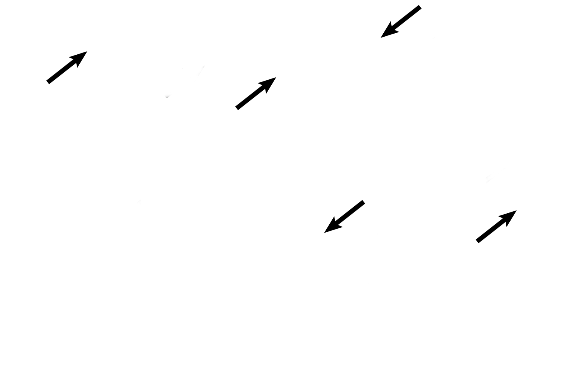 Pulmonary vessels <p>Upon entering the lungs, primary bronchi branch to form secondary bronchi. Large pulmonary arteries and veins lie adjacent to secondary bronchi, forming the root of the lung. In secondary bronchi, cartilage plates replace cartilage rings; mixed glands are still present. Millions of alveoli comprise the lung proper, so all intrapulmonary structures, like secondary bronchi, are surrounded by alveoli. When cut in sections, alveoli resemble tennis balls cut in half. 10x </p>
