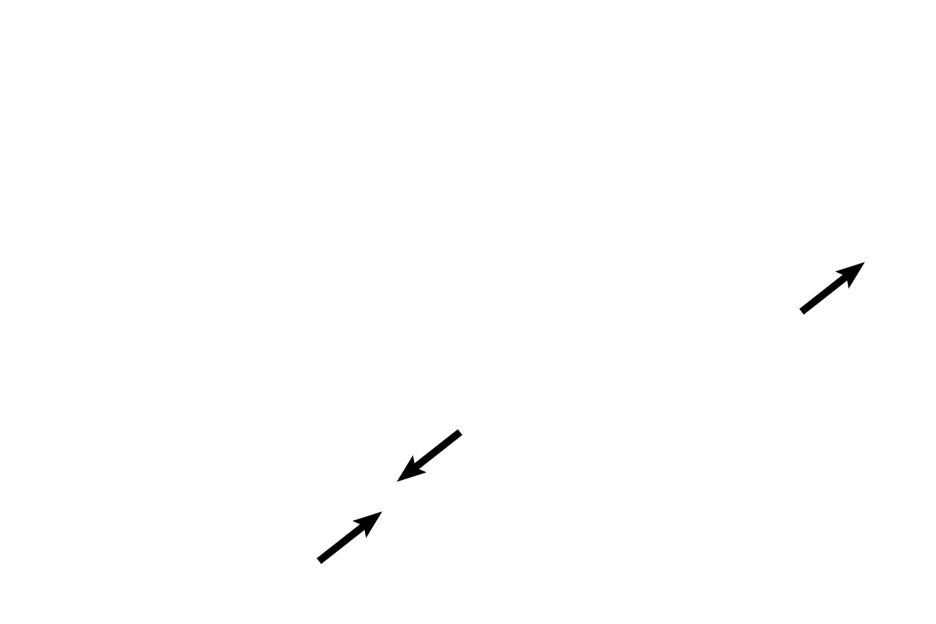 Bronchioles <p>Upon entering the lungs, primary bronchi branch to form secondary bronchi. Large pulmonary arteries and veins lie adjacent to secondary bronchi, forming the root of the lung. In secondary bronchi, cartilage plates replace cartilage rings; mixed glands are still present. Millions of alveoli comprise the lung proper, so all intrapulmonary structures, like secondary bronchi, are surrounded by alveoli. When cut in sections, alveoli resemble tennis balls cut in half. 10x </p>
