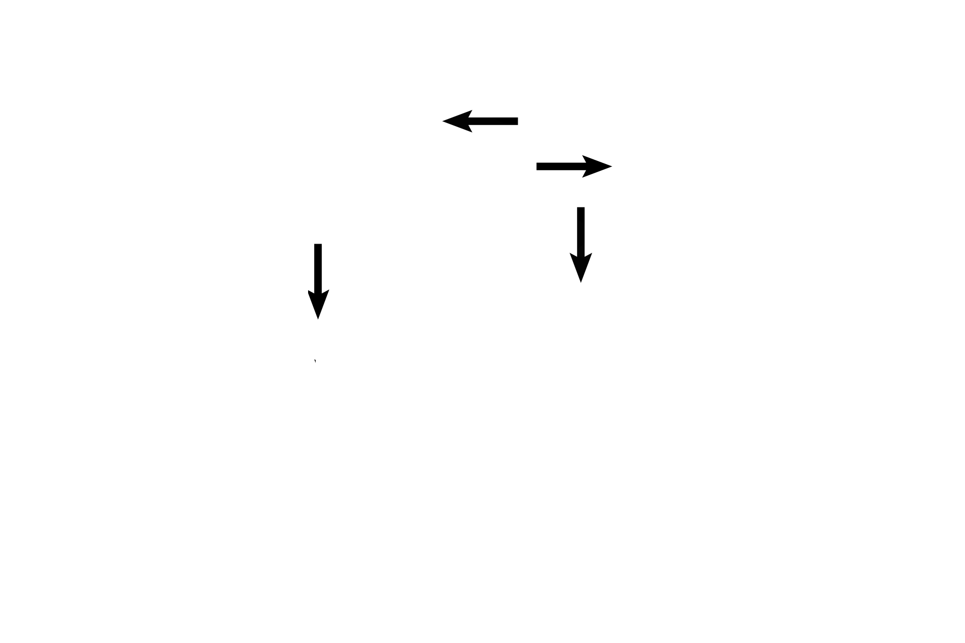 Epithelium > <p>The epithelium of a secondary bronchus is pseudostratified columnar with cilia and goblet cells. The lamina propria is rich in elastic fibers, and smooth muscle bands spiral around the bronchus.</p>
