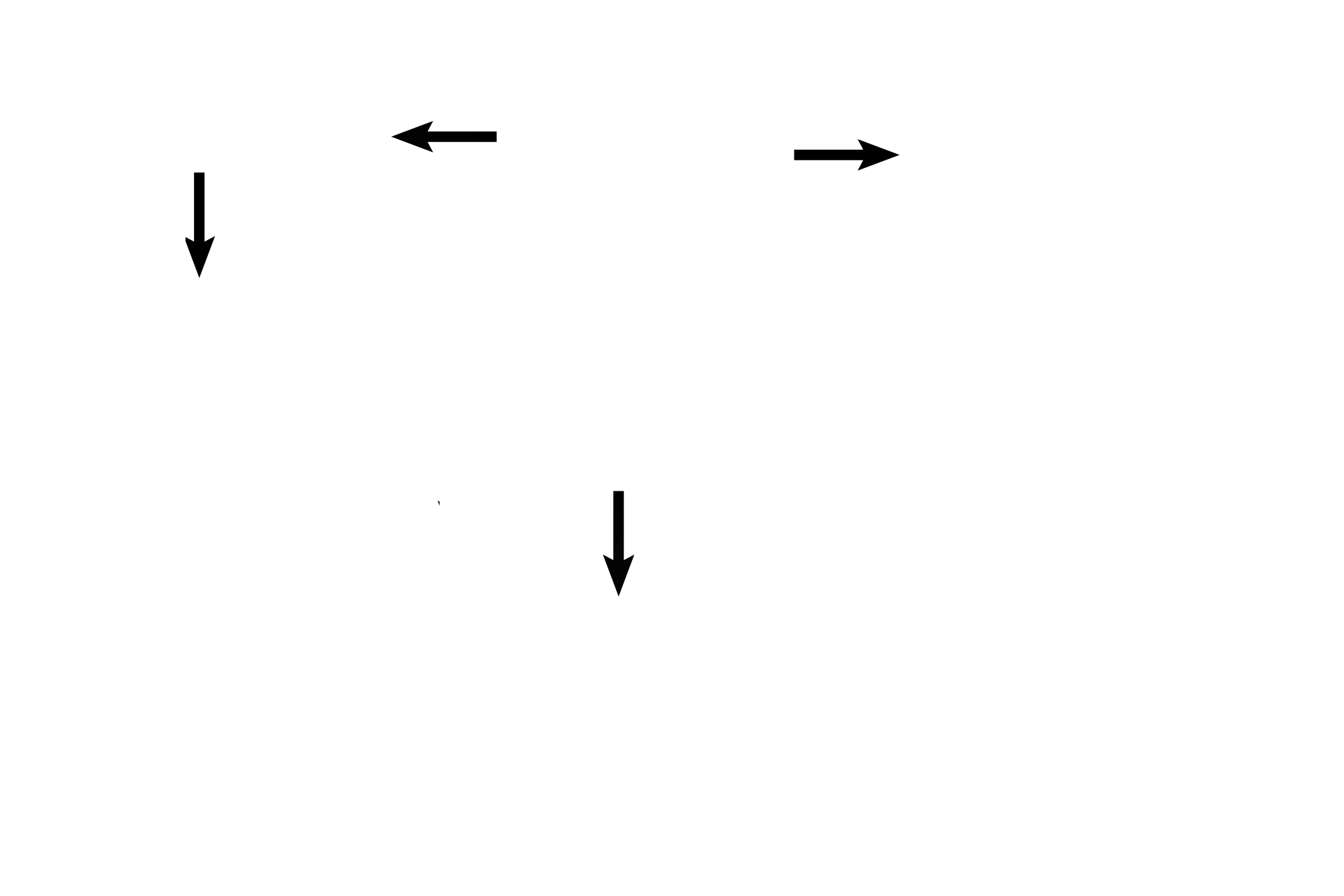  - Smooth muscle <p>The epithelium of a secondary bronchus is pseudostratified columnar with cilia and goblet cells. The lamina propria is rich in elastic fibers, and smooth muscle bands spiral around the bronchus.</p>
