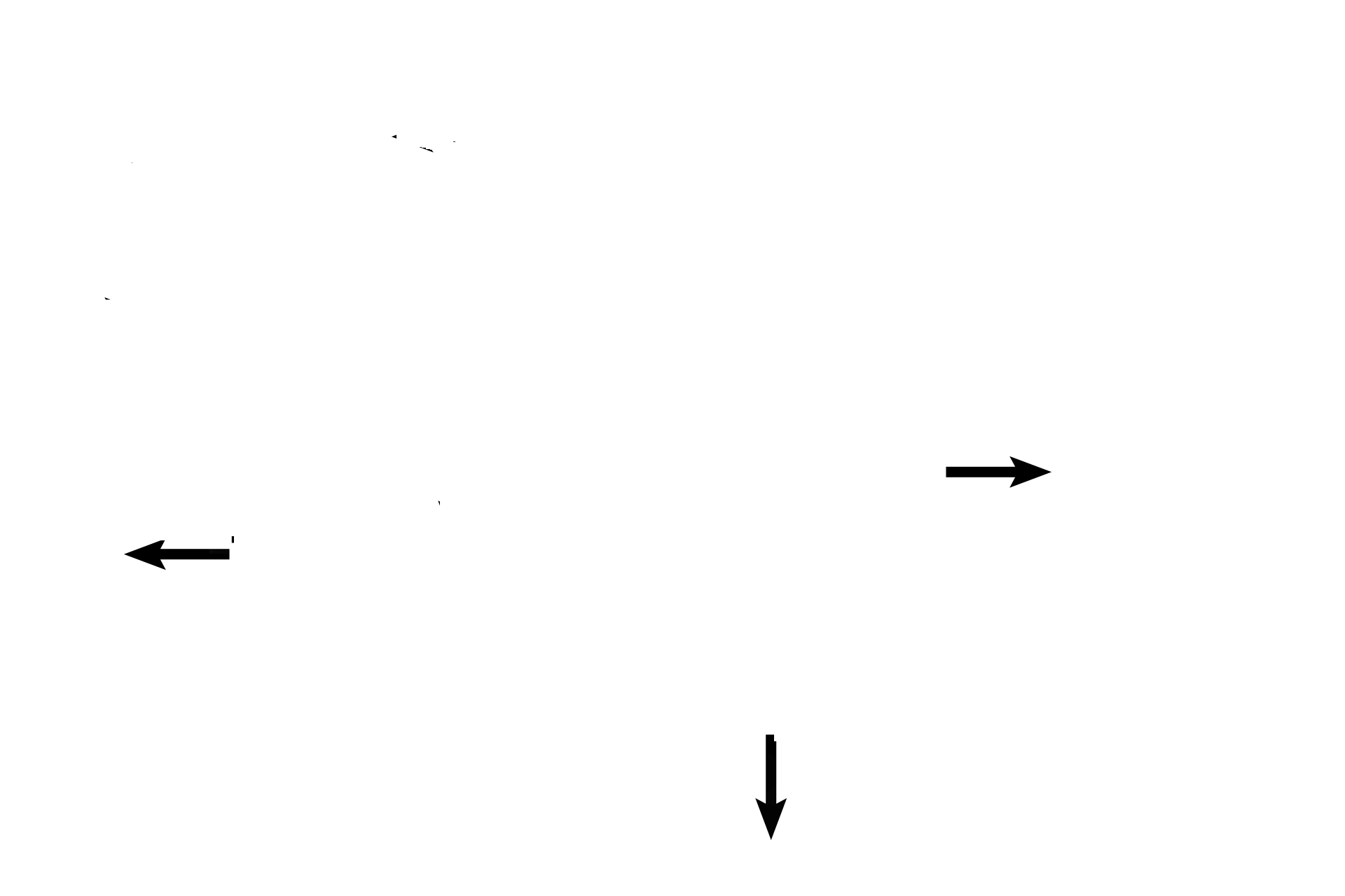 Cartilage plates > <p>Cartilage plates, rather than cartilage rings, maintain patency in a secondary bronchus.</p>

