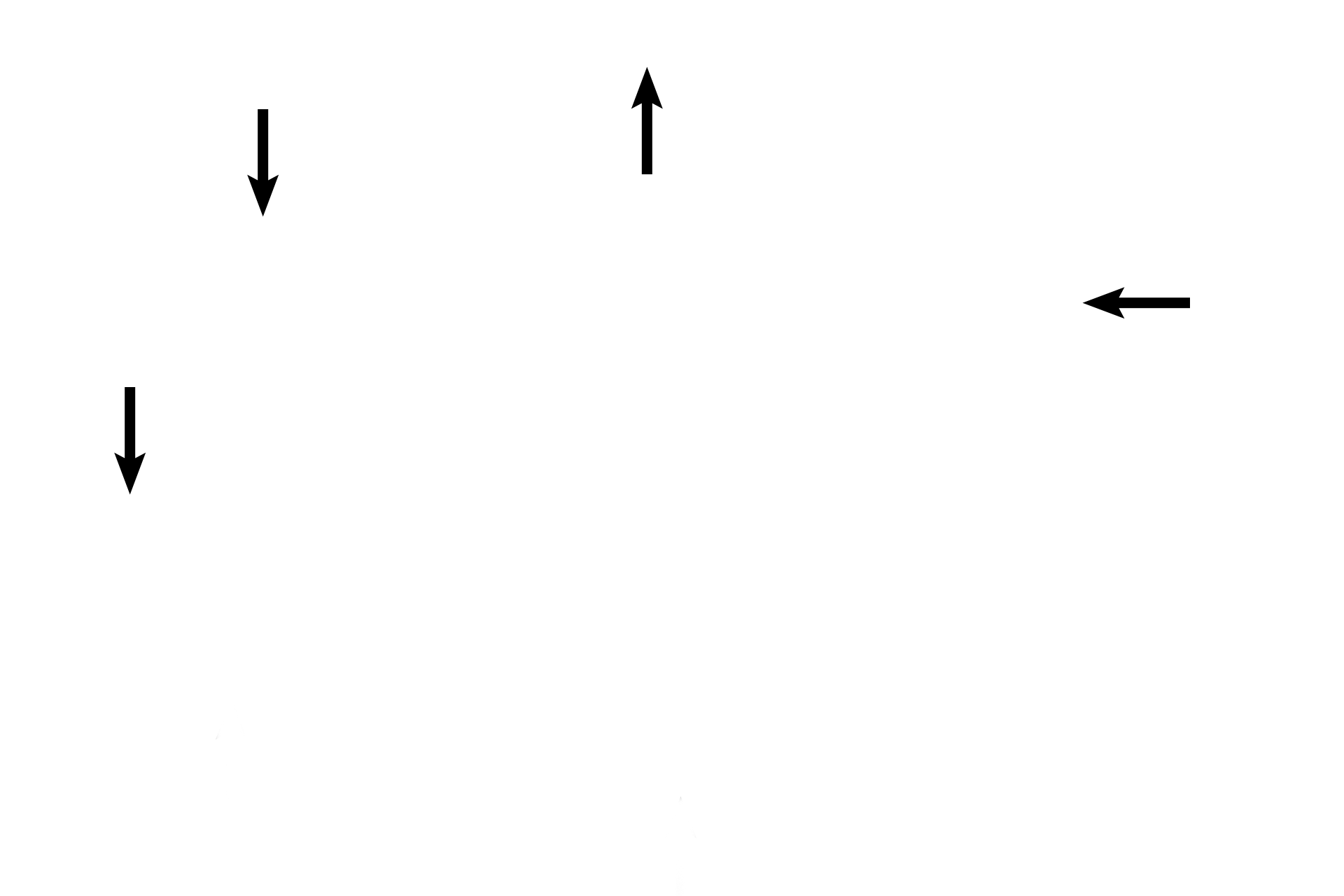  - Mixed glands <p>Secondary bronchi decrease in diameter and each layer becomes thinner, as the bronchi progress into the lungs. 100x</p>
