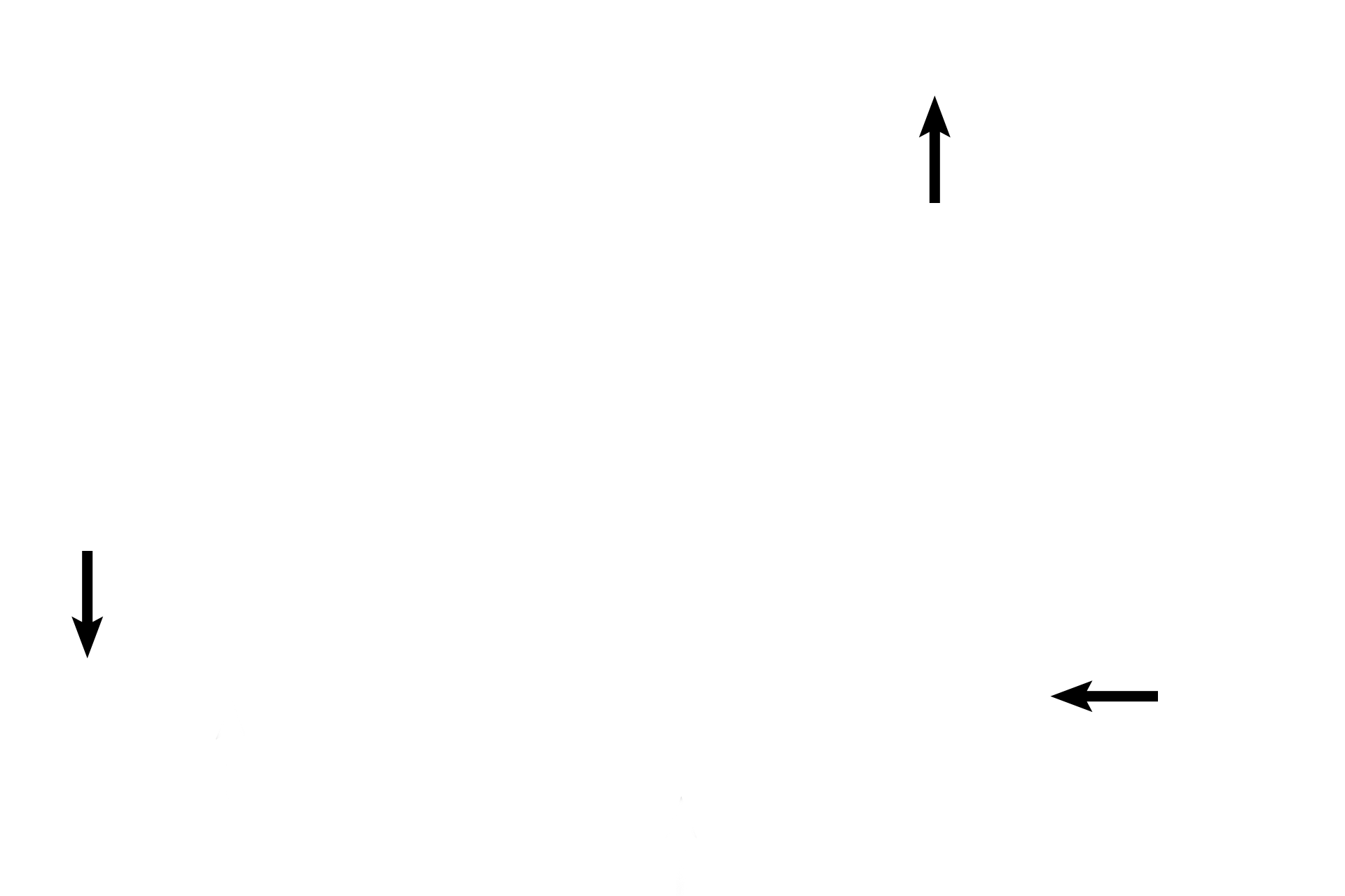 Cartilage plates <p>Secondary bronchi decrease in diameter and each layer becomes thinner, as the bronchi progress into the lungs. 100x</p>
