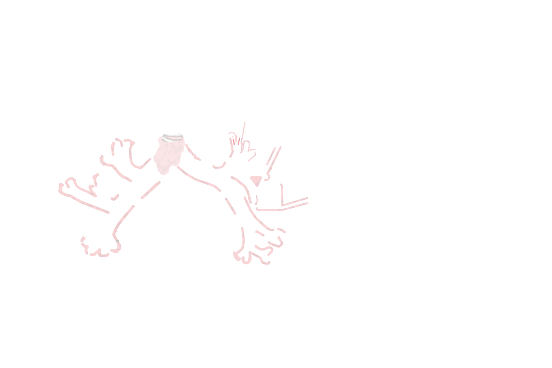 Conducting portion <p>Intrapulmonary passageways are subdivided into those that conduct air to the respiratory portion (conducting portion) and those involved with gas exchange (respiratory portion).  Passageways included in the conducting portion are secondary bronchi and bronchioles.  Components of the respiratory portion are respiratory bronchioles, alveolar ducts and alveoli.</p>
